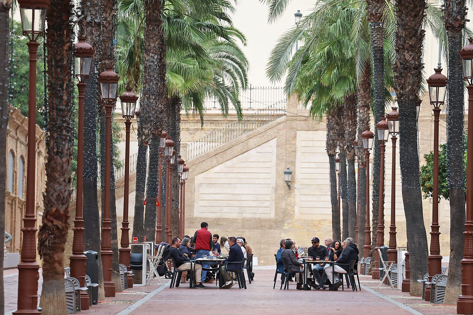 Las imágenes más destacadas del domingo 1 de diciembre en Huelva