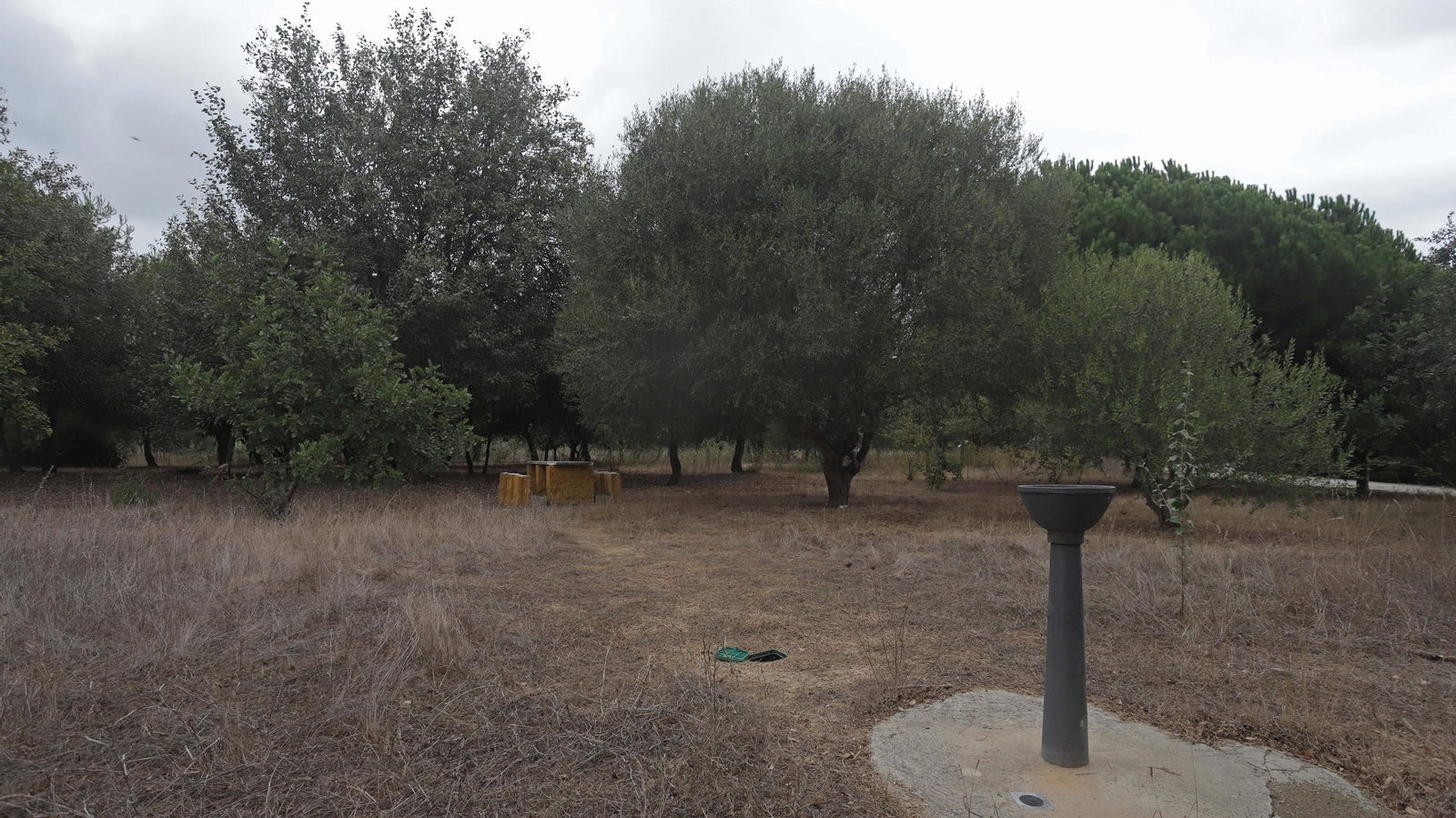 Fotos del parque del Torrejón en Algeciras