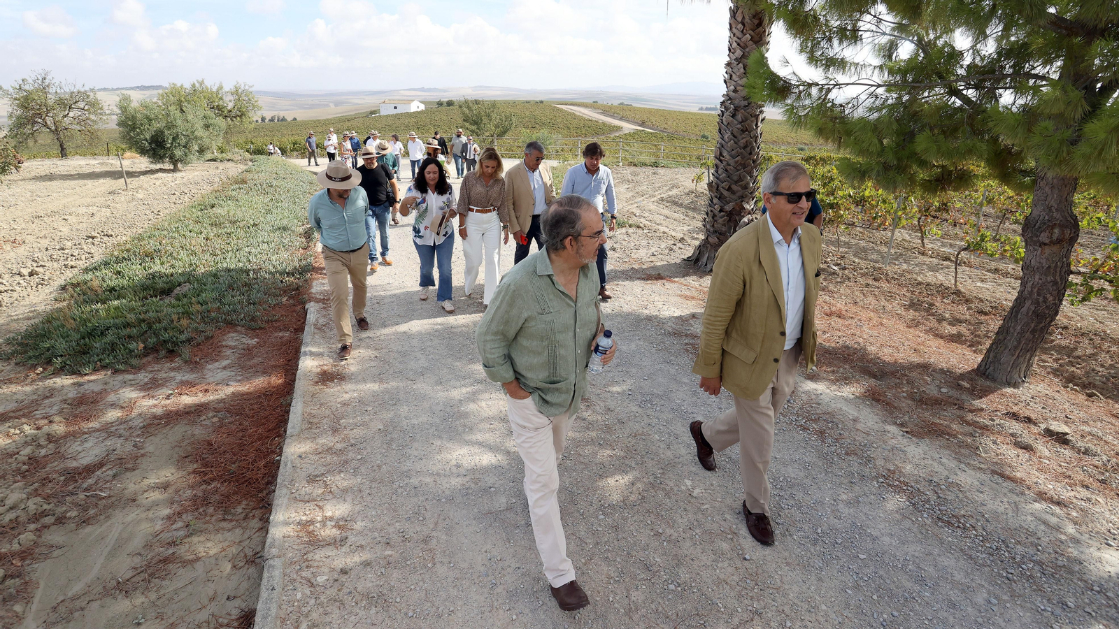 Vinos ecológicos con uva Pedro Ximénez