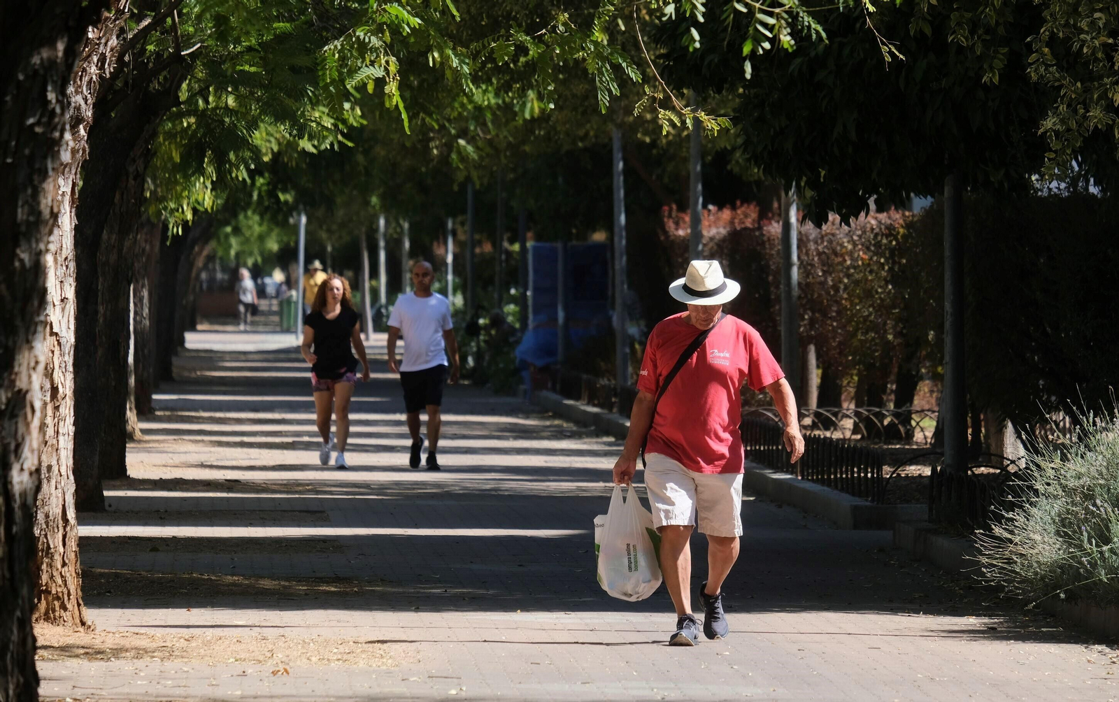 Un paseo en imágenes por el barrio cordobés del Santuario un día de agosto Un paseo en imágenes por el barrio cordobés del Santuario un día de agosto