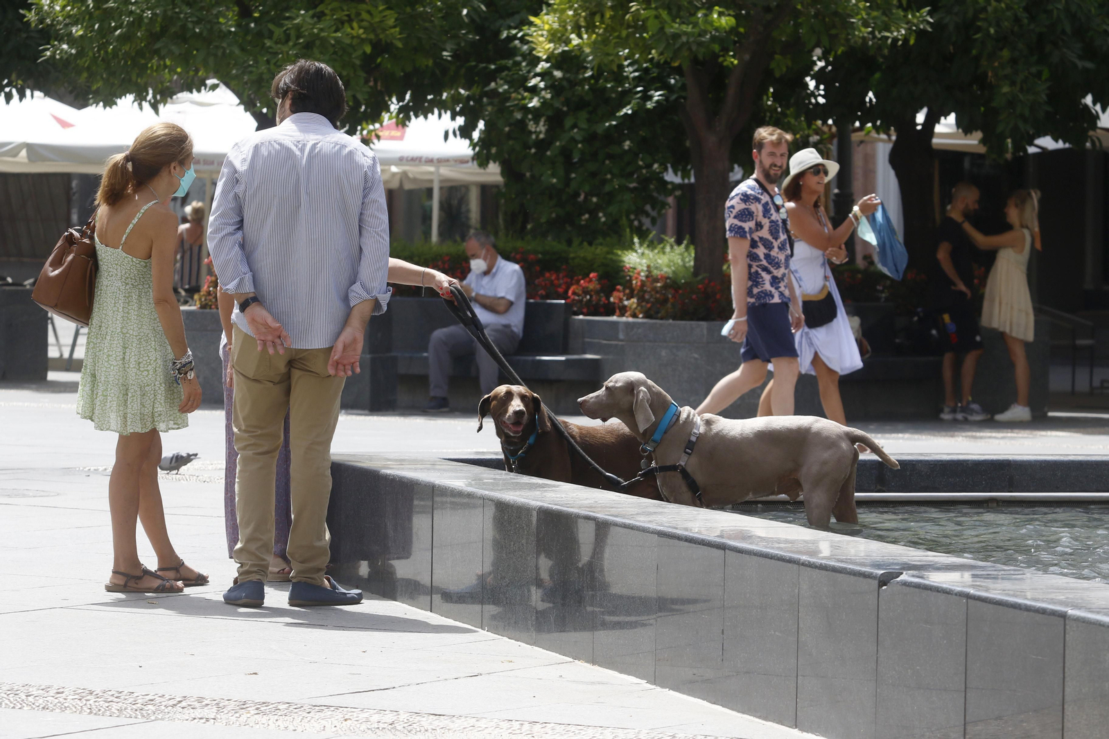 Córdoba se asfixia con las temperaturas máximas de España, en imágenes
