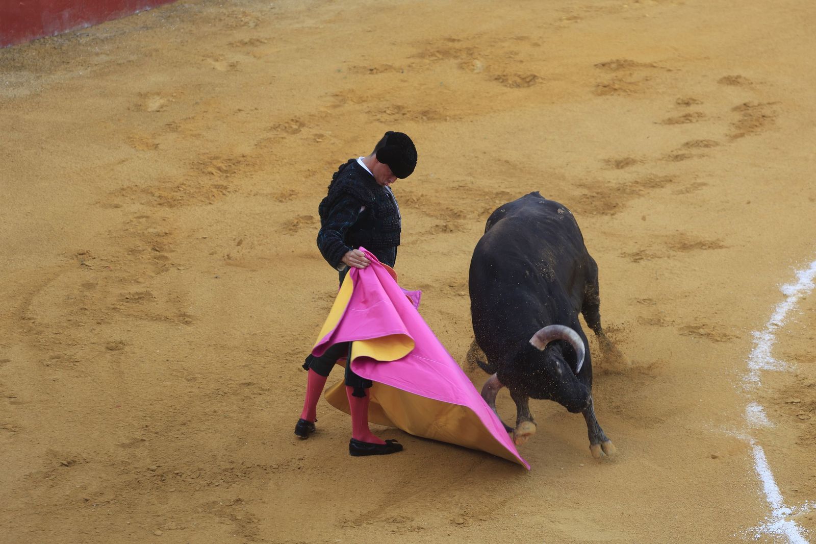 Fotos de la corrida de toros de la Feria de San Roque con David Galván, Román y Joaquín Galdós