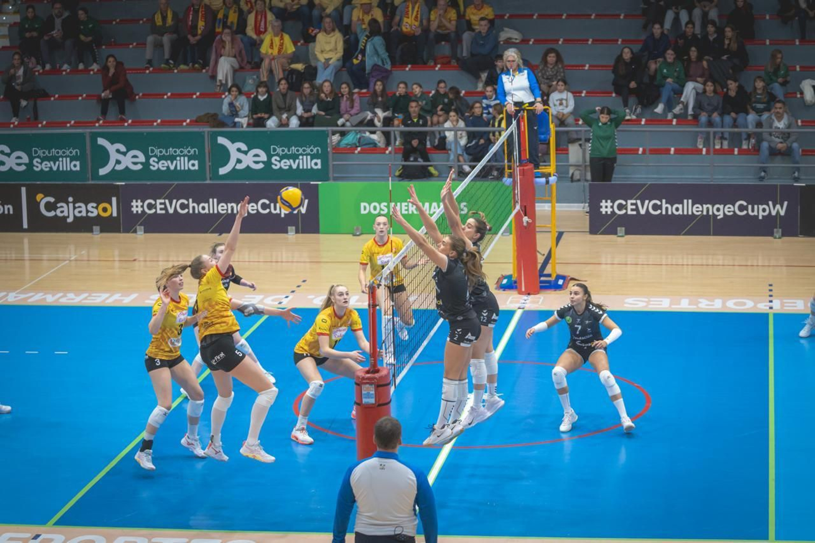 Las fotos del Fundación Cajasol Andalucía-Dynamo Apeldoorn