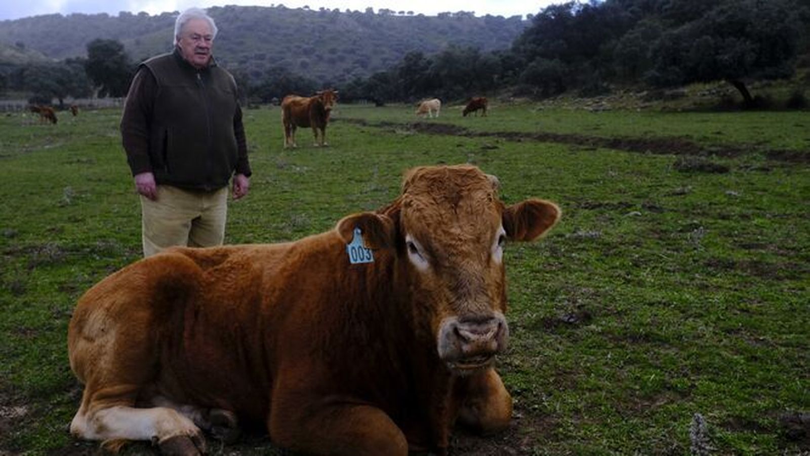 Ganadero junto a uno de sus animales.