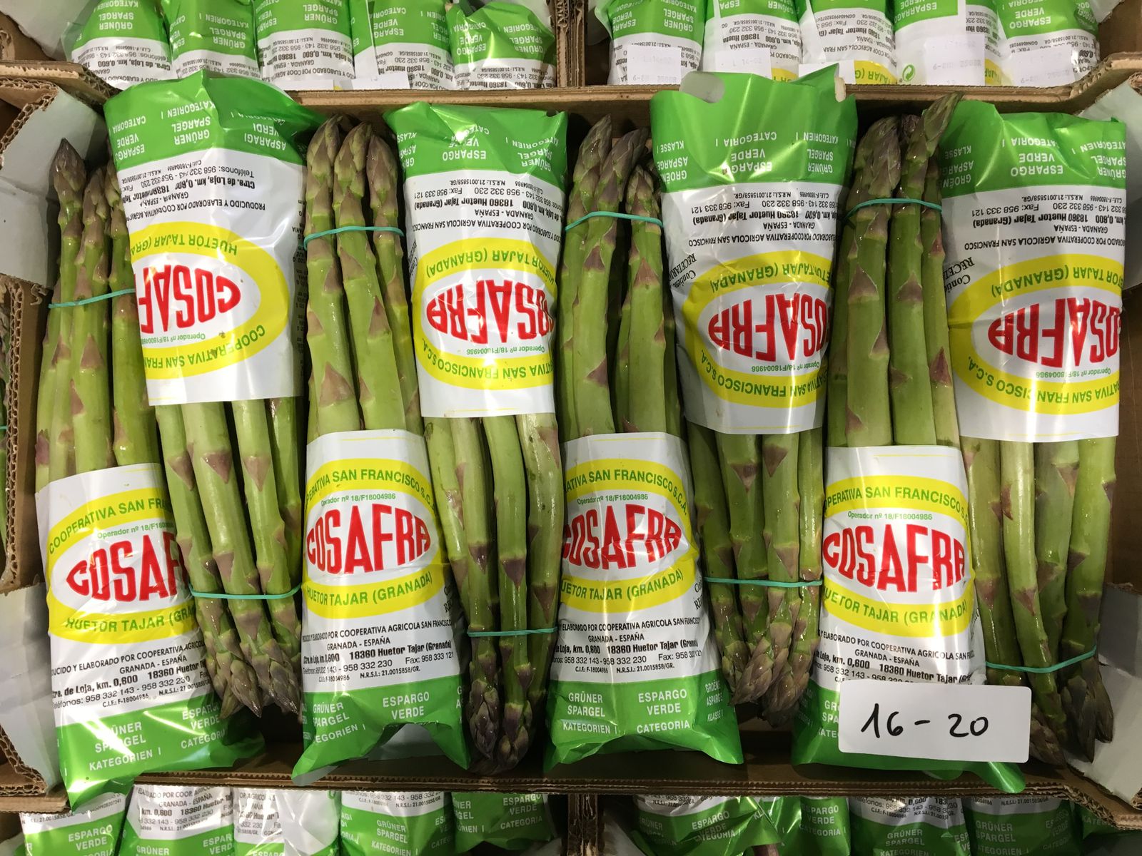 El espárrago verde de Cosafra: garantía de calidad y profesionalidad en Fruit Logística 2022