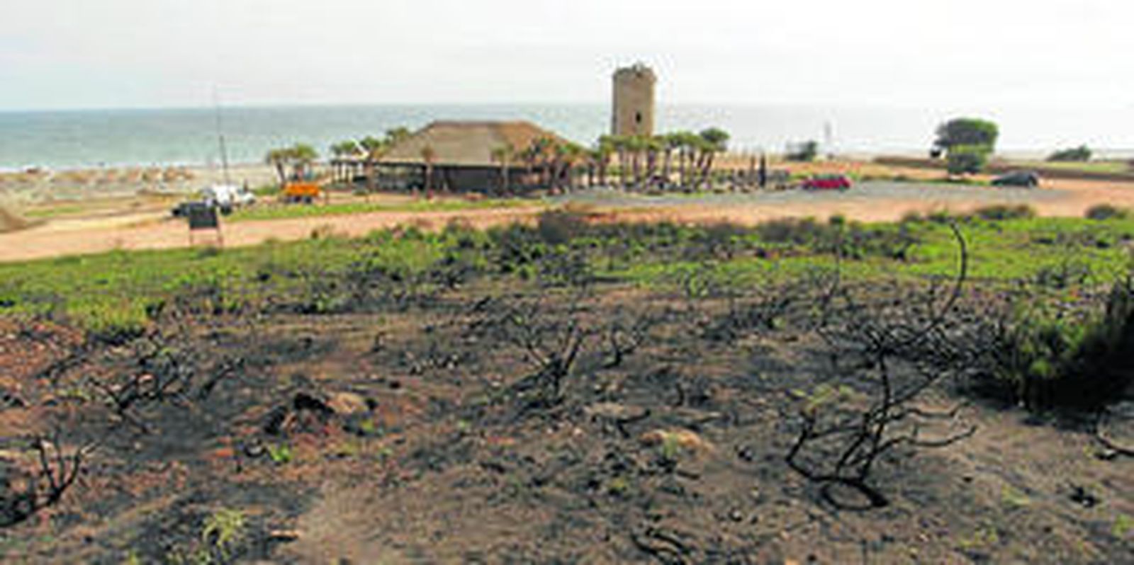 Zona costera de la Primera Torre calcinada el pasado julio y que será repoblada este domingo, ayer por la tarde.
