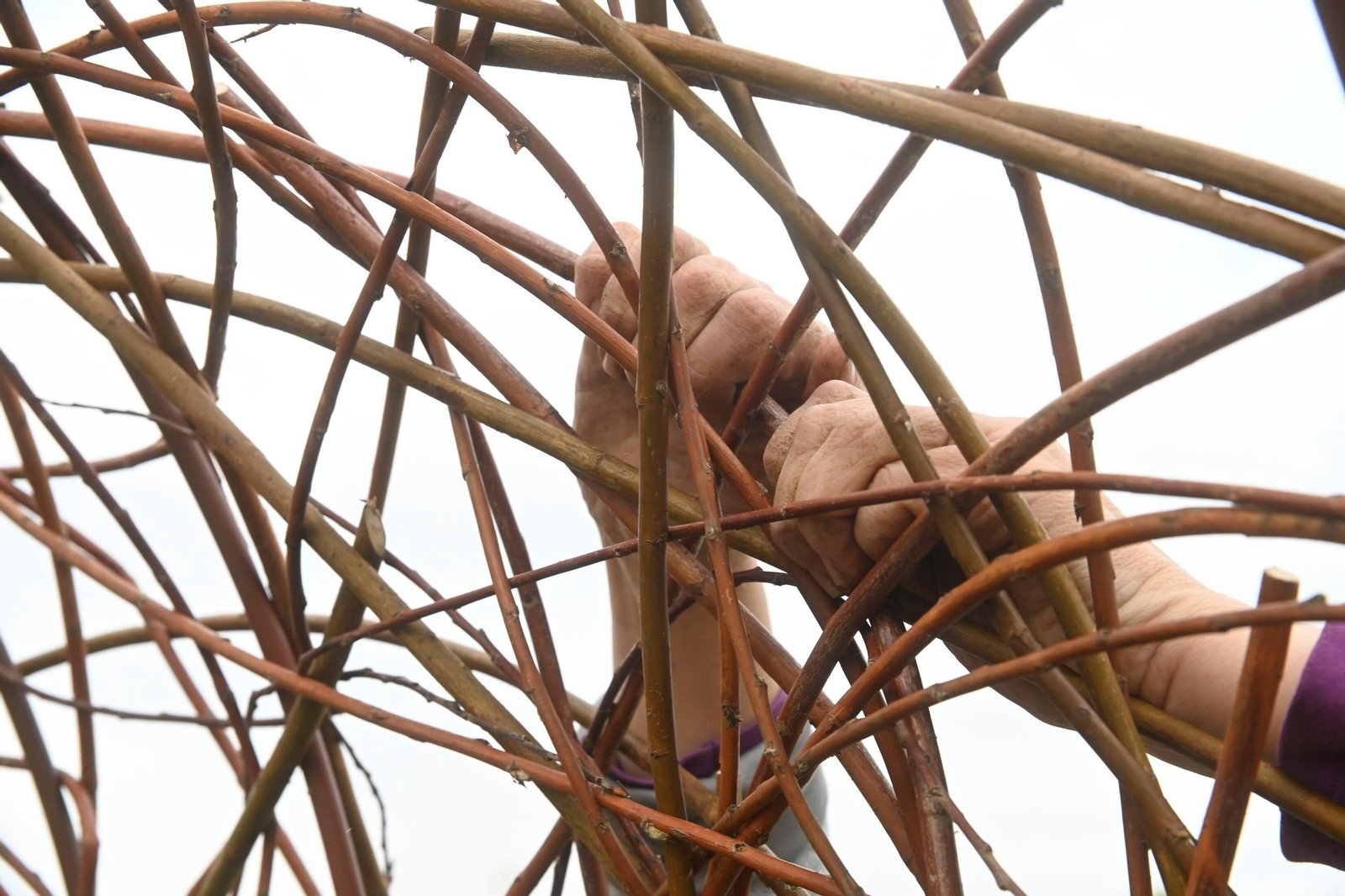 El proyecto 'Naturaleza Habitada' de la artista Cerro Romera en el Parque de Miraflores