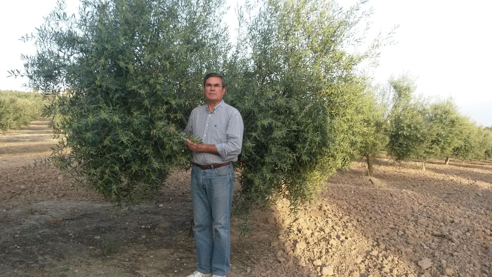 Antonio Trapero reclama más medios para que los equipos de investigación puedan trabajar y no estén tan limitados.