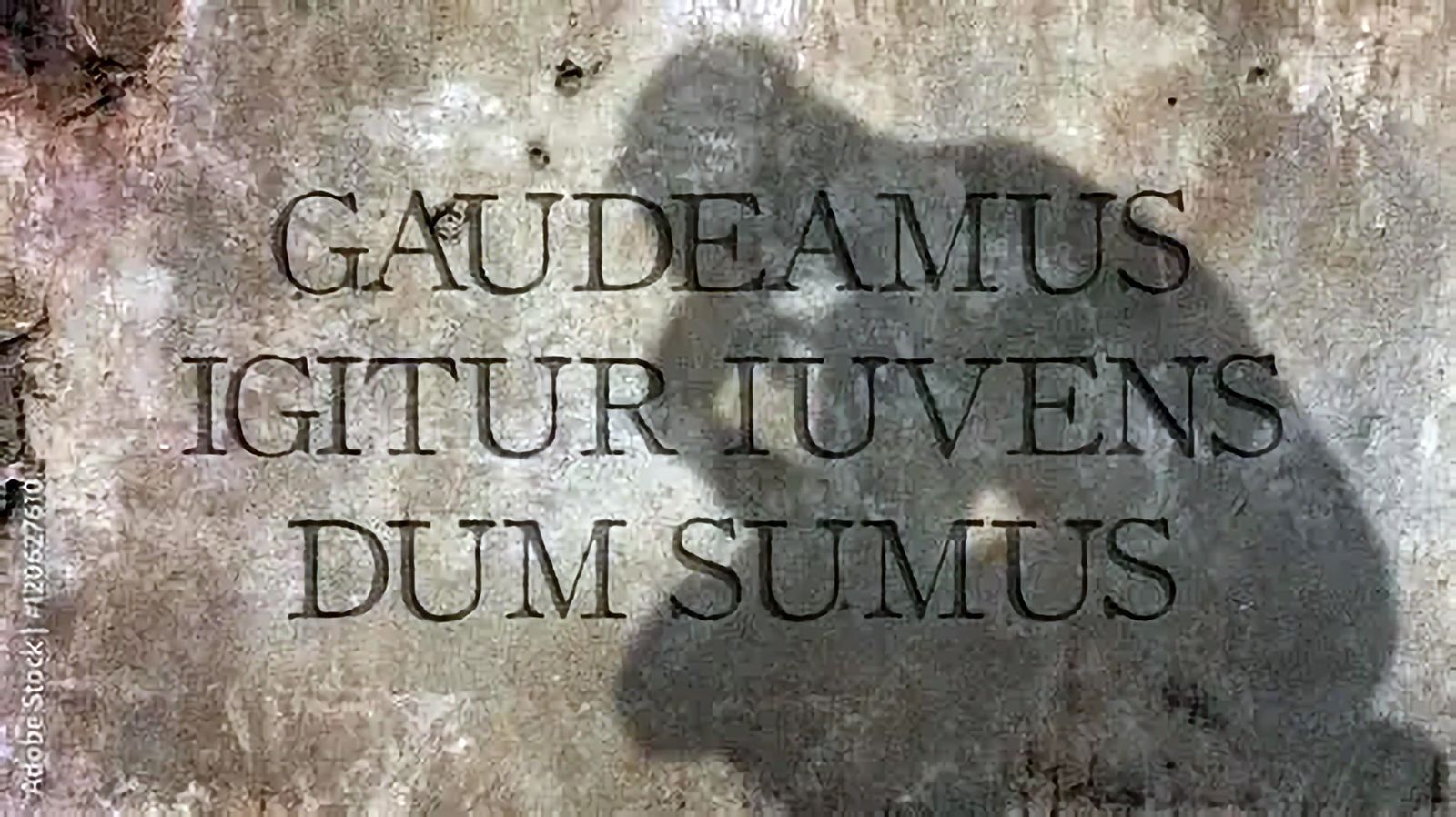 Gaudeamus Igitur...