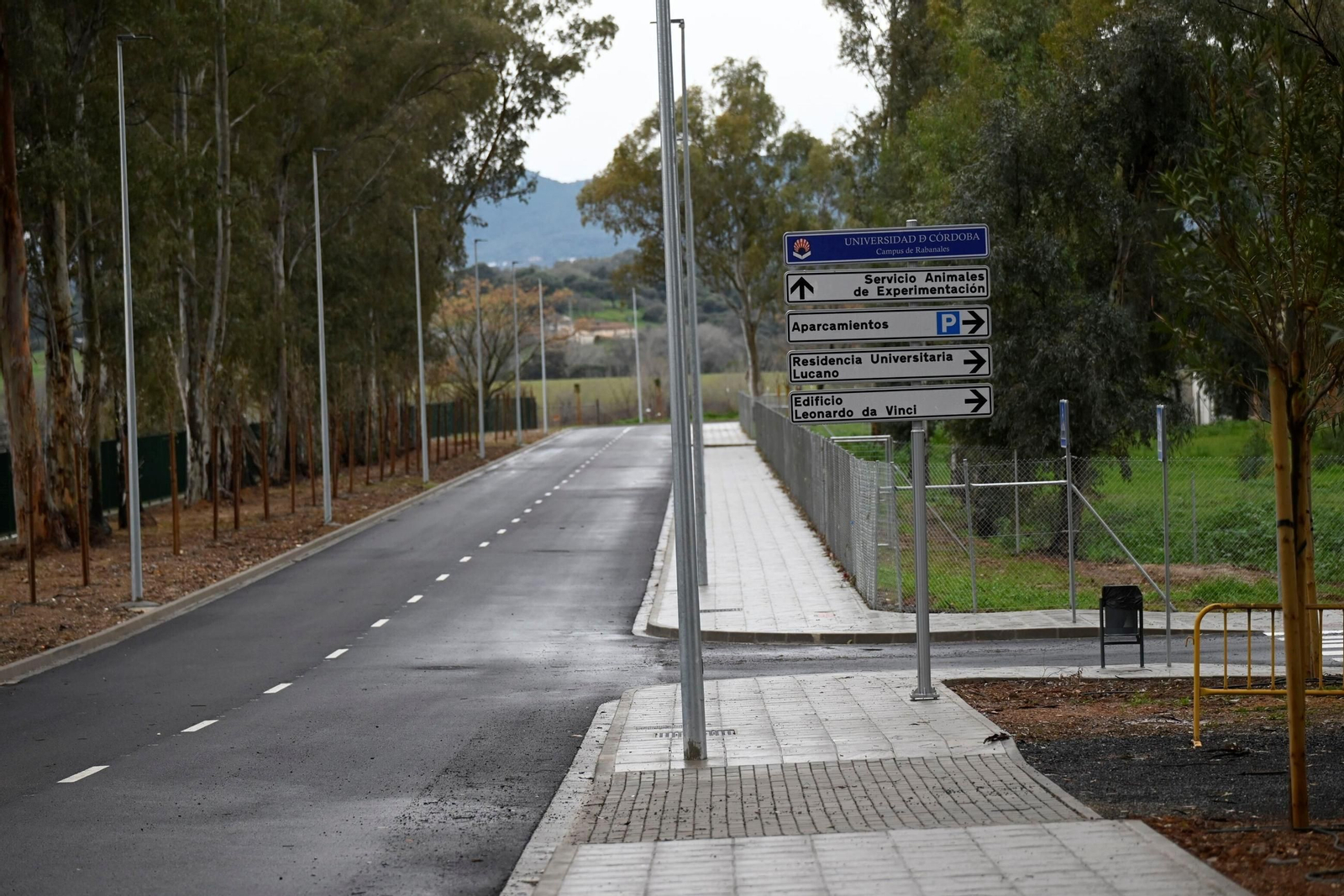 La fase 1A de reurbanización del Campus de Rabanales, en imágenes