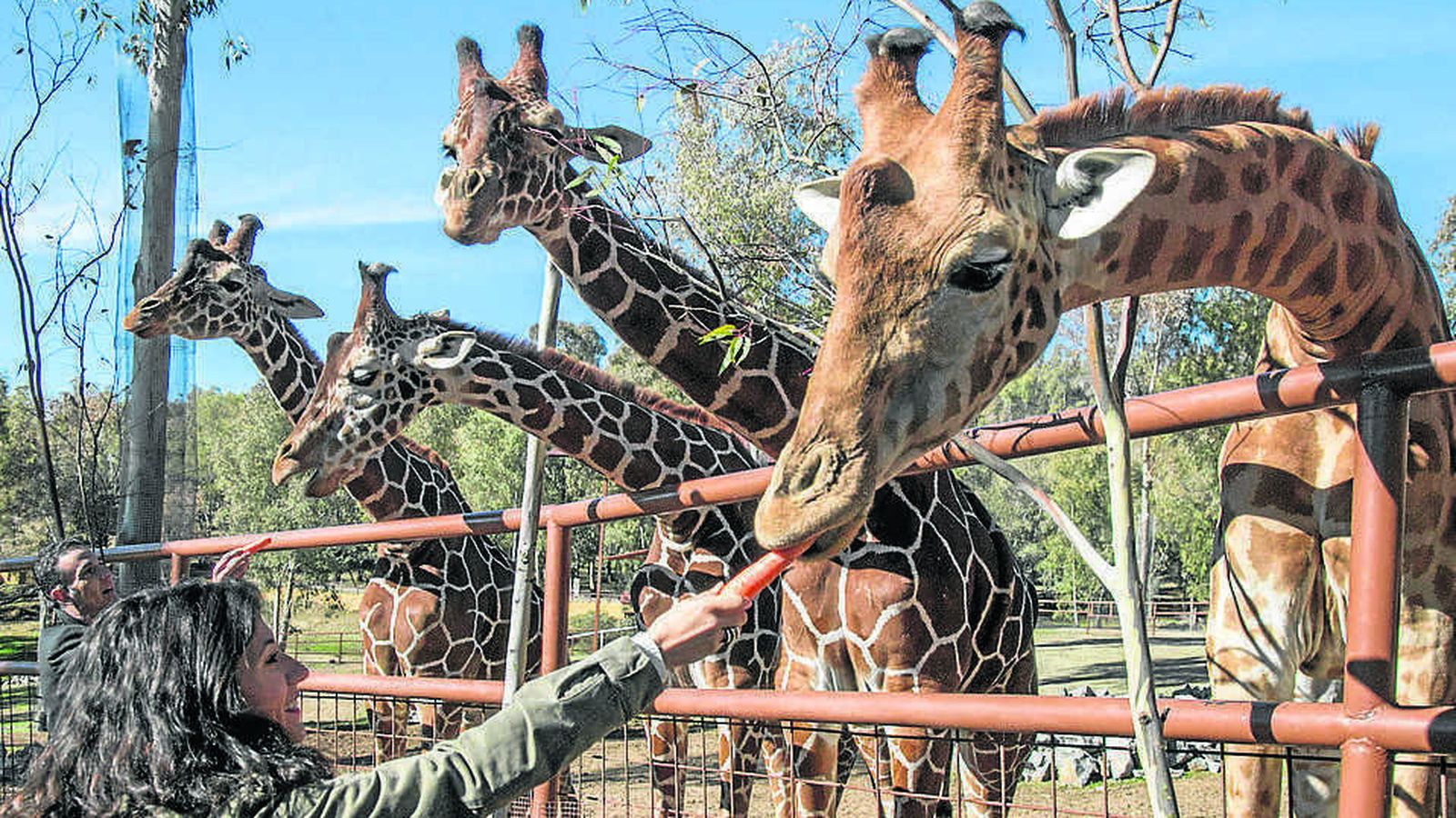 Reserva Natural de El Castillo de las Guardas, Sevilla.