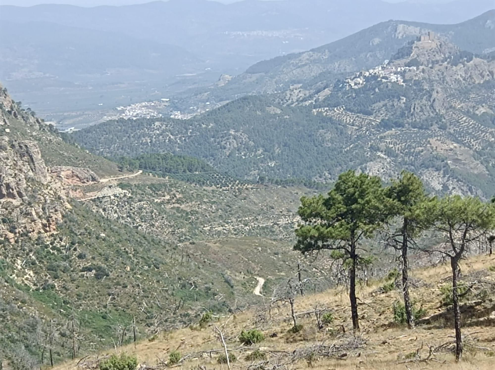 Así se regenera Segura de la Sierra tras el incendio forestal de 2017 Así se regenera Segura de la Sierra tras el incendio forestal de 2017