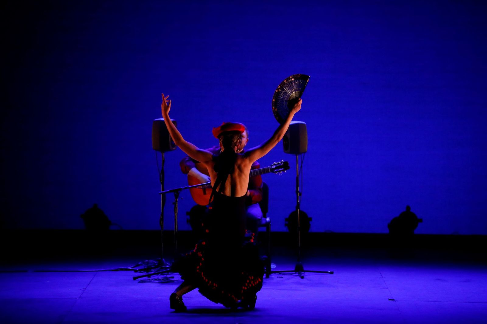 Alejandro Hurtado y Patricia Guerrero brillan en la Gala de Navidad de la Cátedra de Flamencología, en fotos