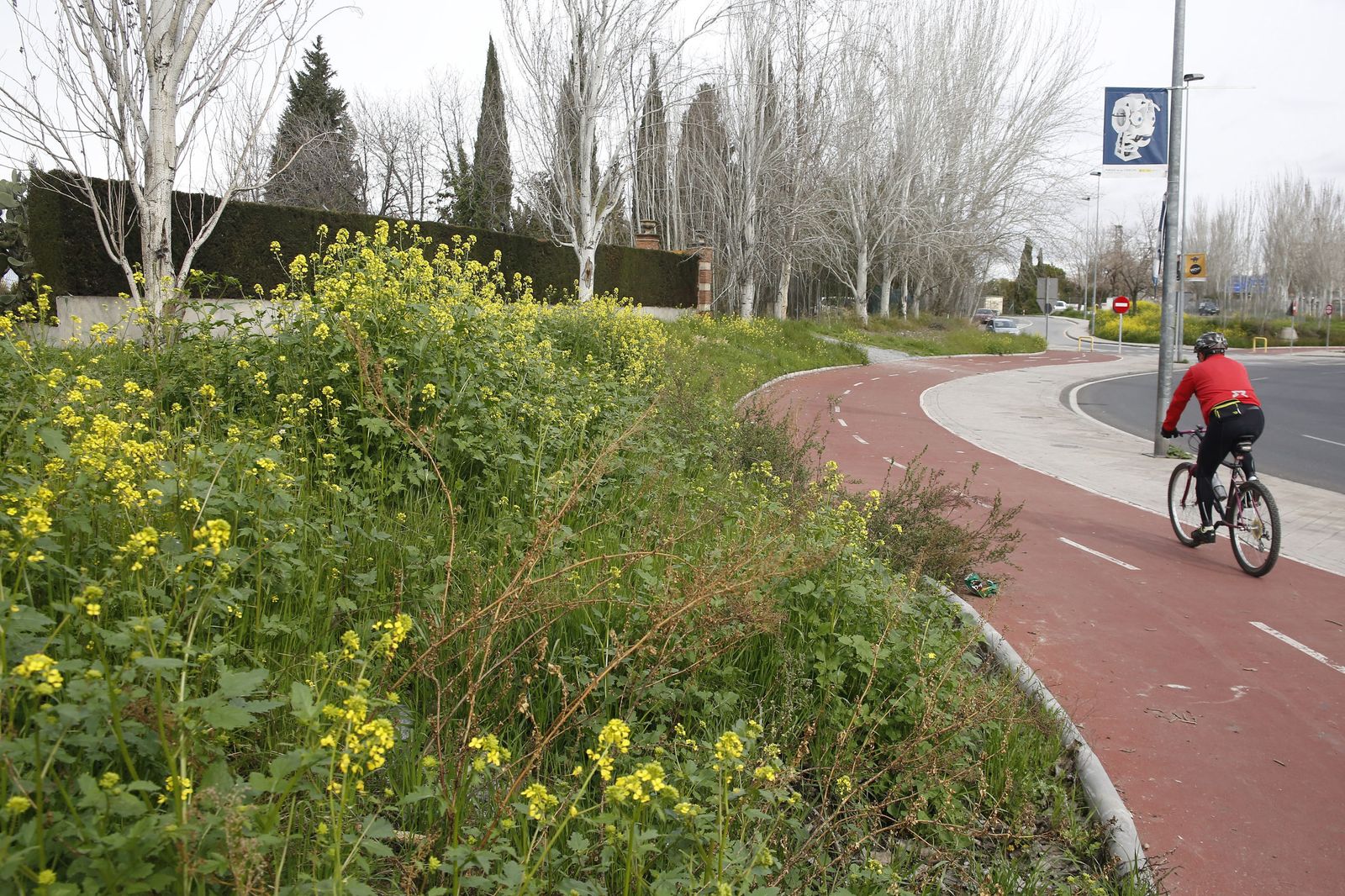 La floración conlleva que los alérgicos sufran problemas respiratorios.