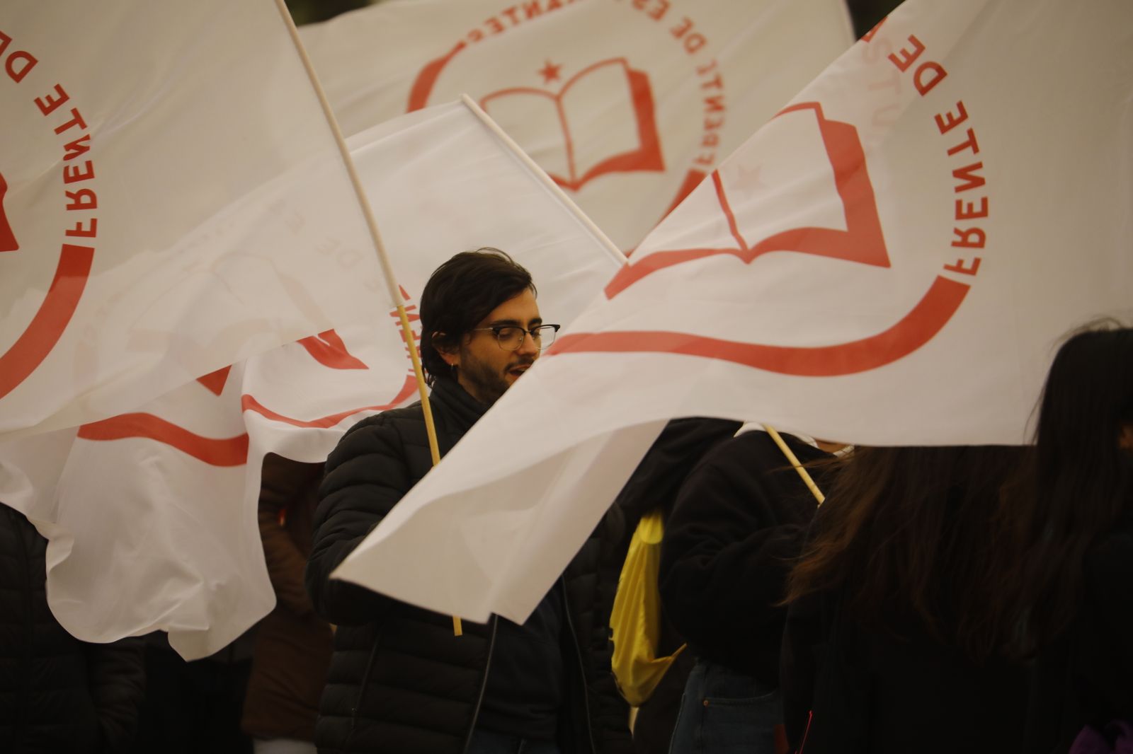 La manifestación estudiantil contra la reforma educativa, en imágenes