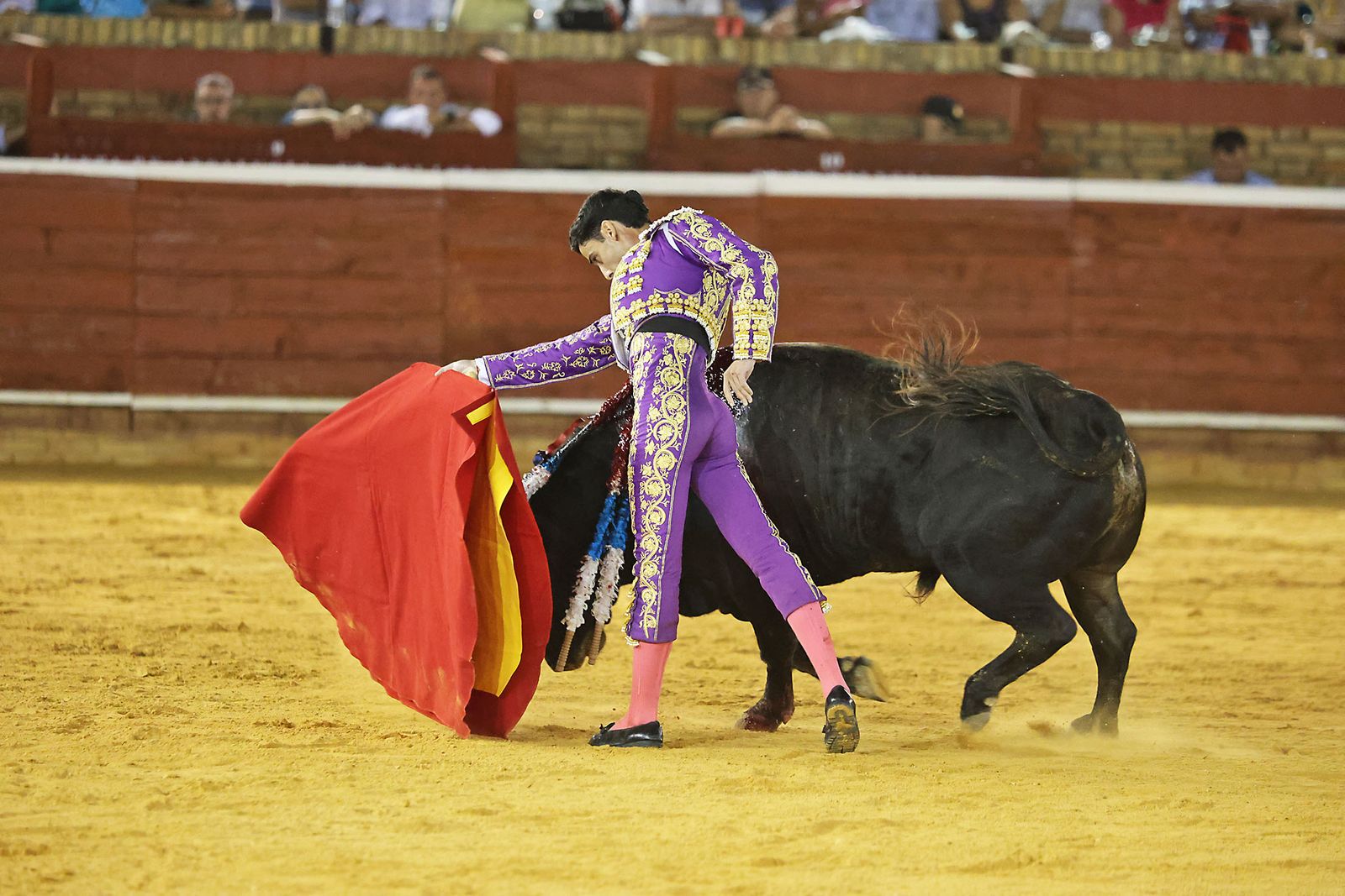 Toros La Merced 2024 Novillada con picadores(