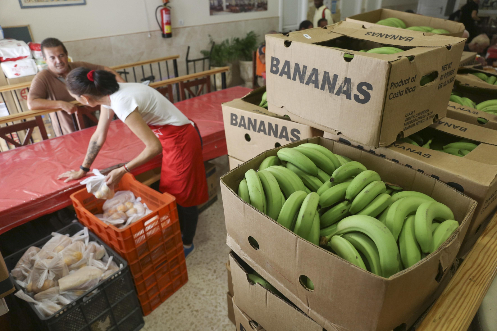 Los plátanos entre los que se camuflaba la droga.