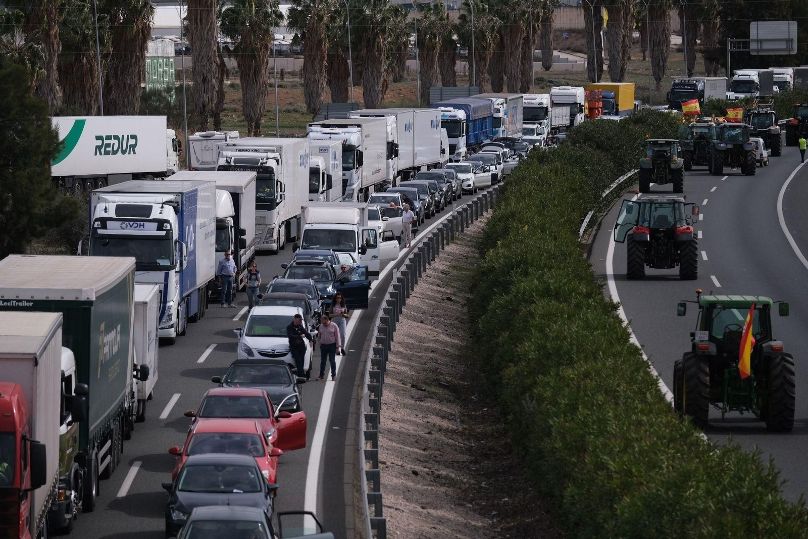 Tractorada en Málaga, la manifestación de los agricultores en fotos