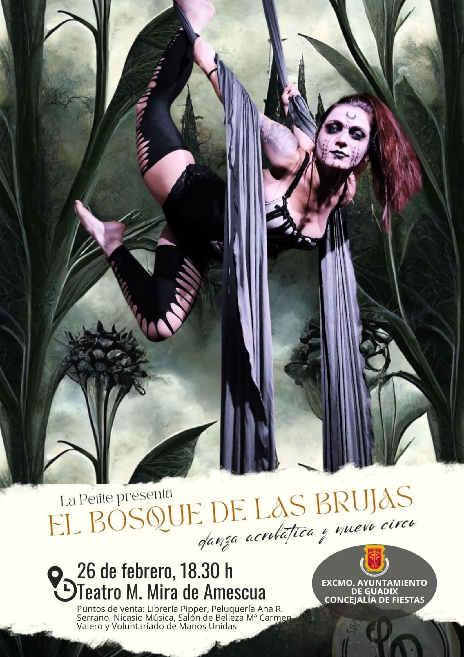 En el Carnaval se podrá ver Danza acrobática y nuevo circo