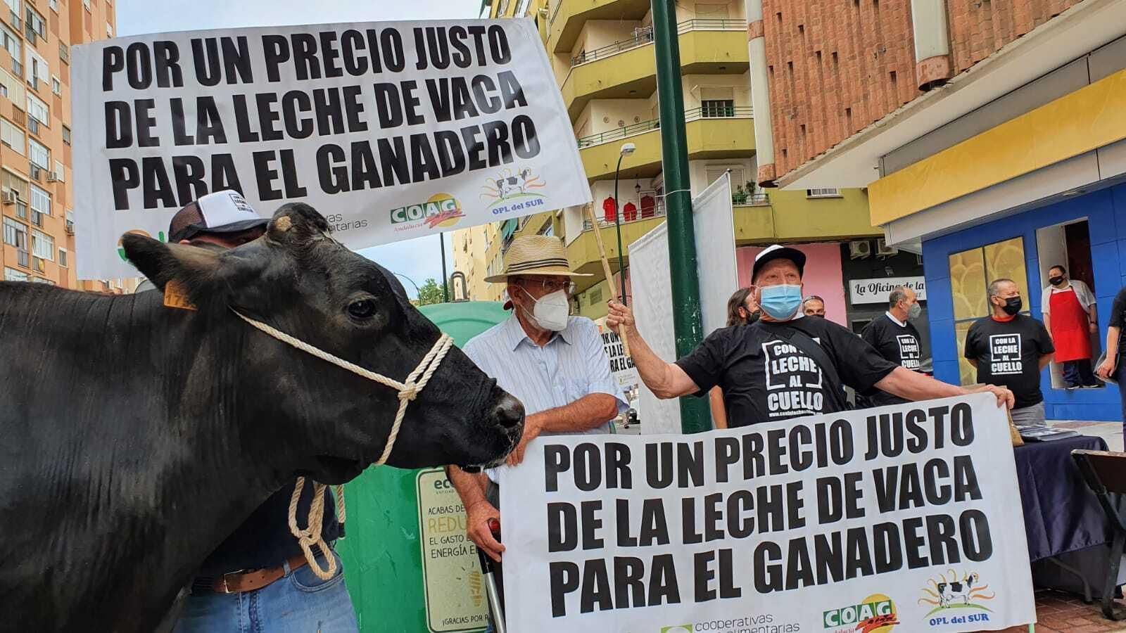 Manifestación en Huelin para exigir un precio justo de la leche de vaca.