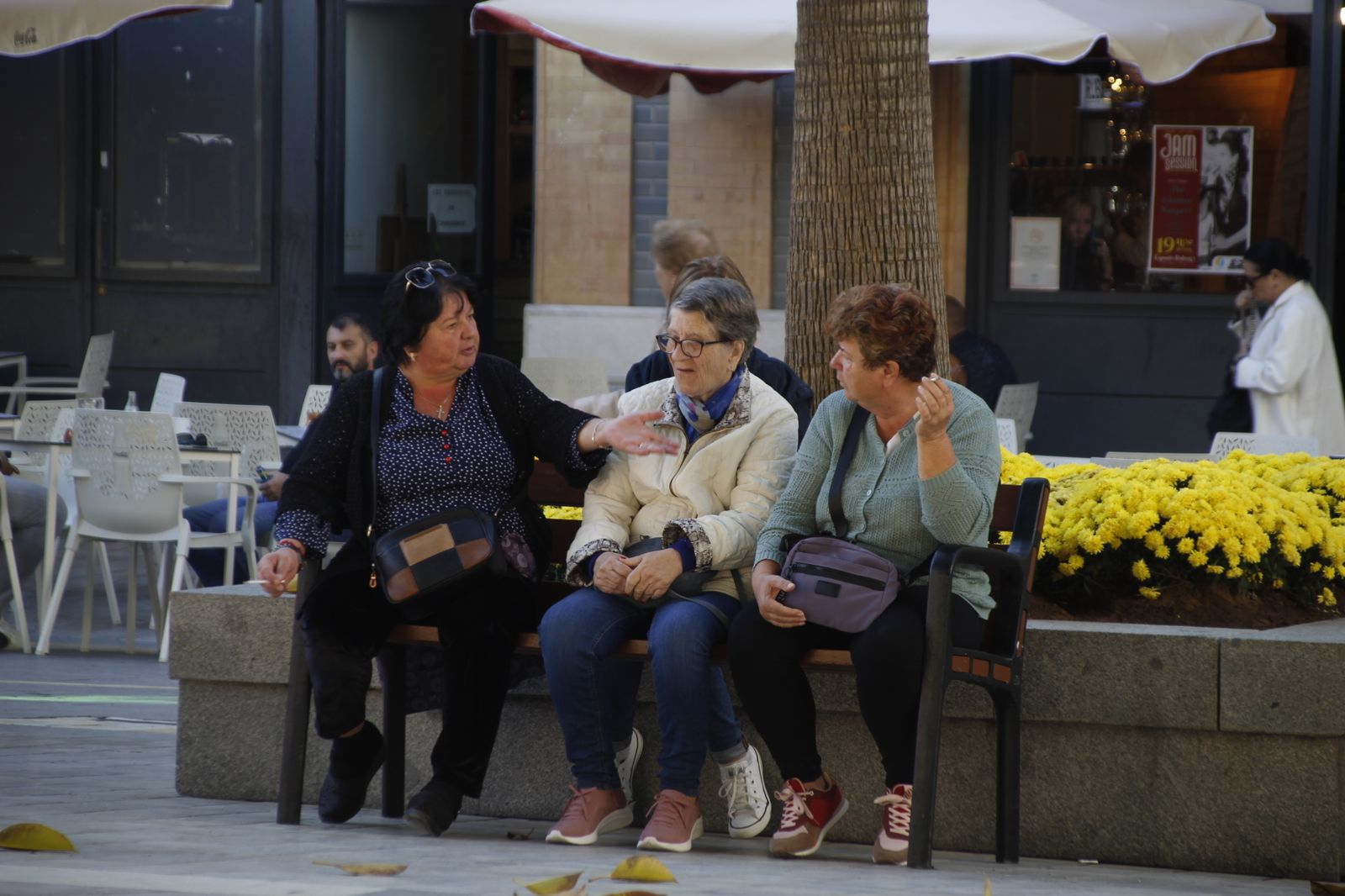 Imágenes del lunes 20 de noviembre en Huelva