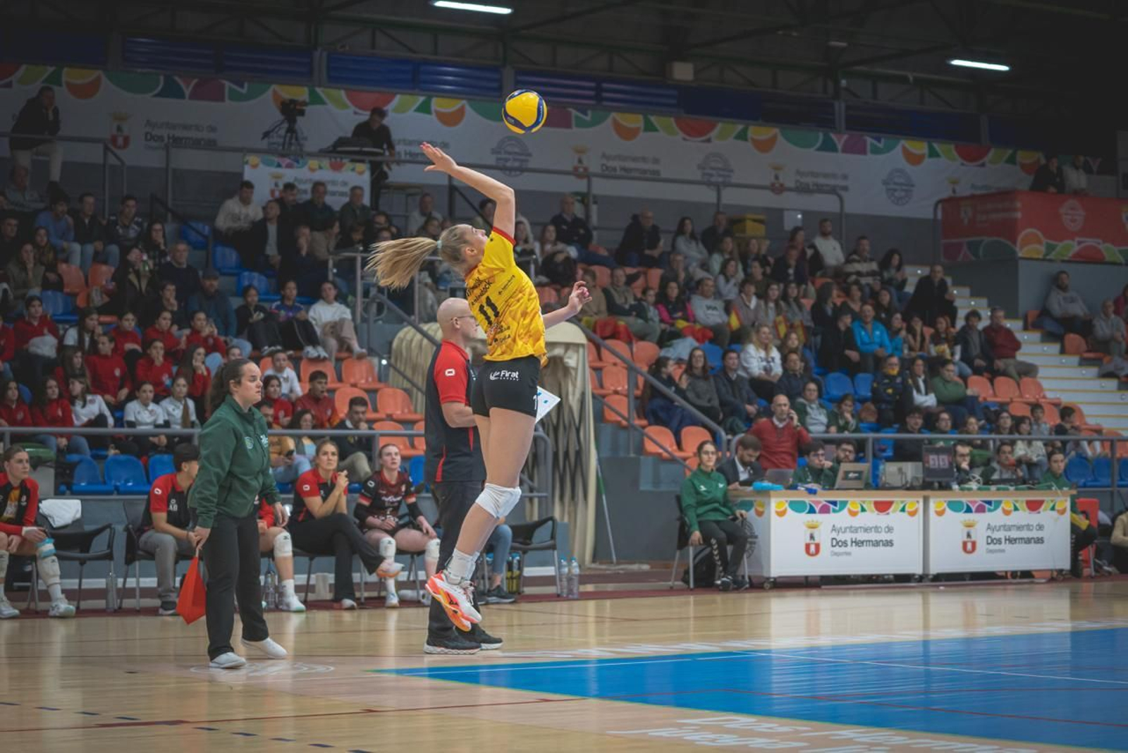 Las fotos del Fundación Cajasol Andalucía-Dynamo Apeldoorn