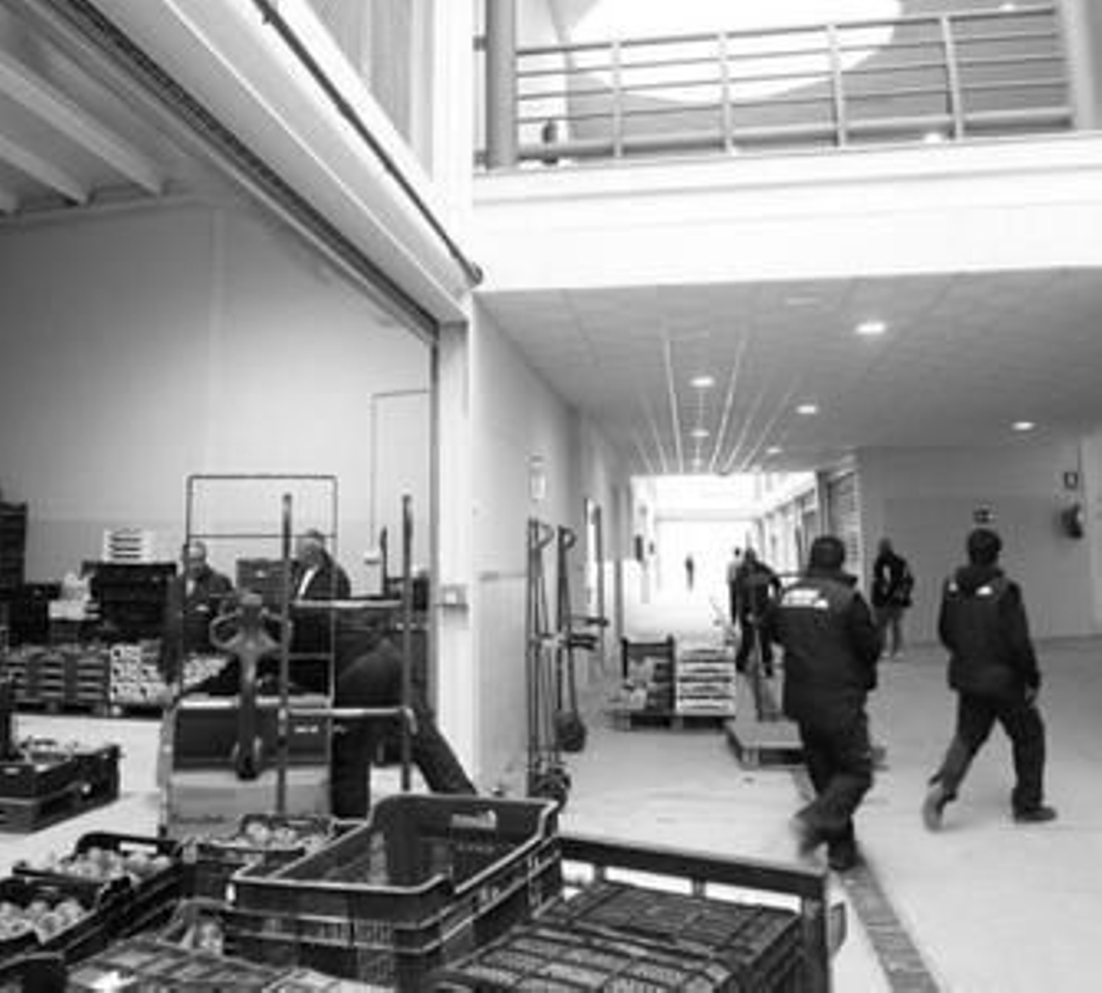 Algunos de los trabajadores que colocaban ayer las mercancías en el nuevo mercado de mayoristas de La Línea.