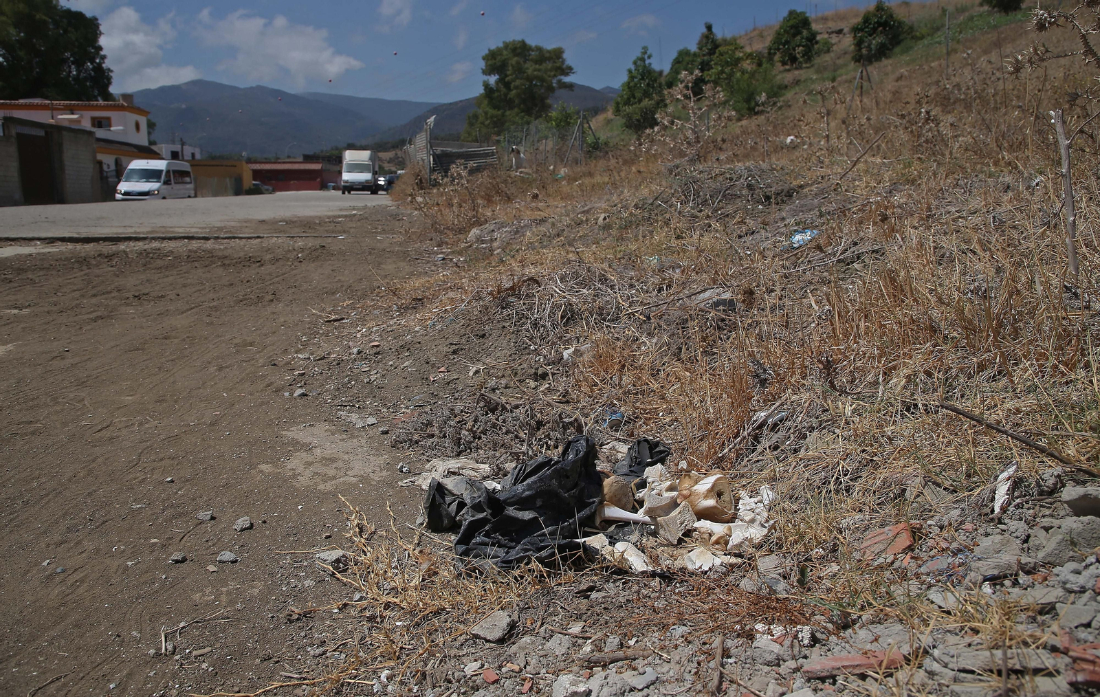 El cementerio ilegal de caballos de Algeciras, en imágenes