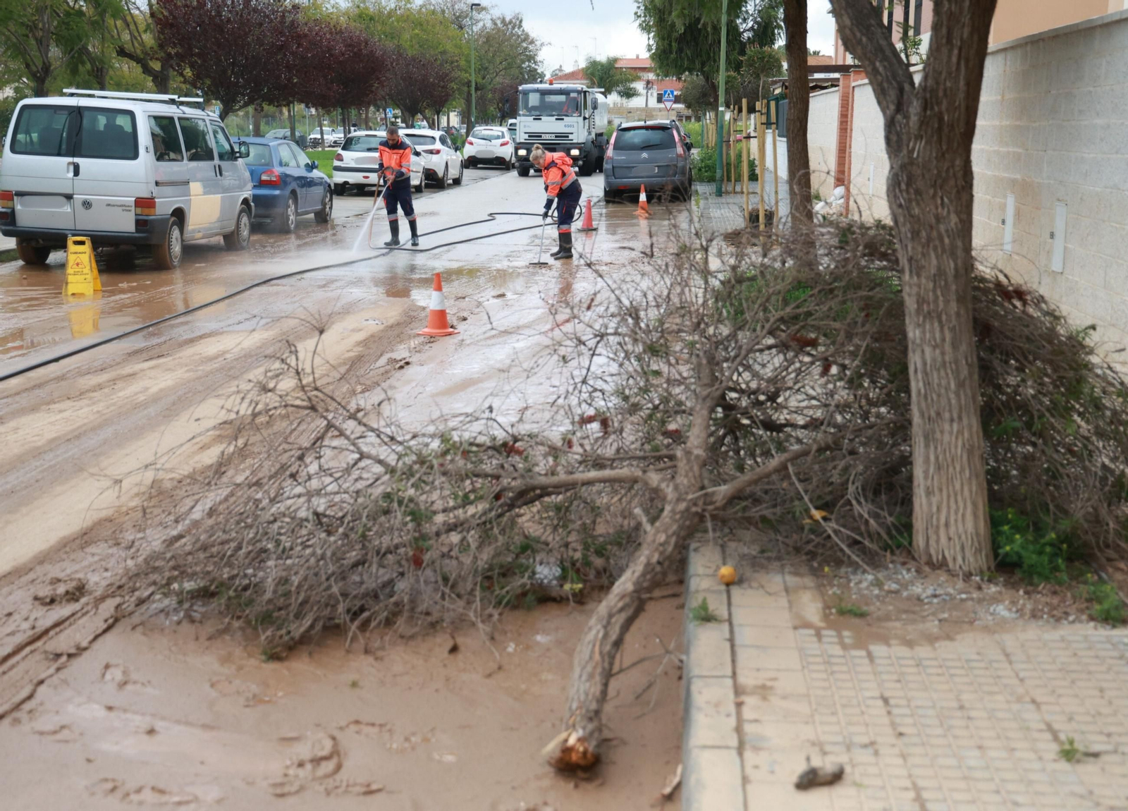 Labores de limpieza en Campanillas tras las inundaciones del río Guadalhorce, en imágenes
