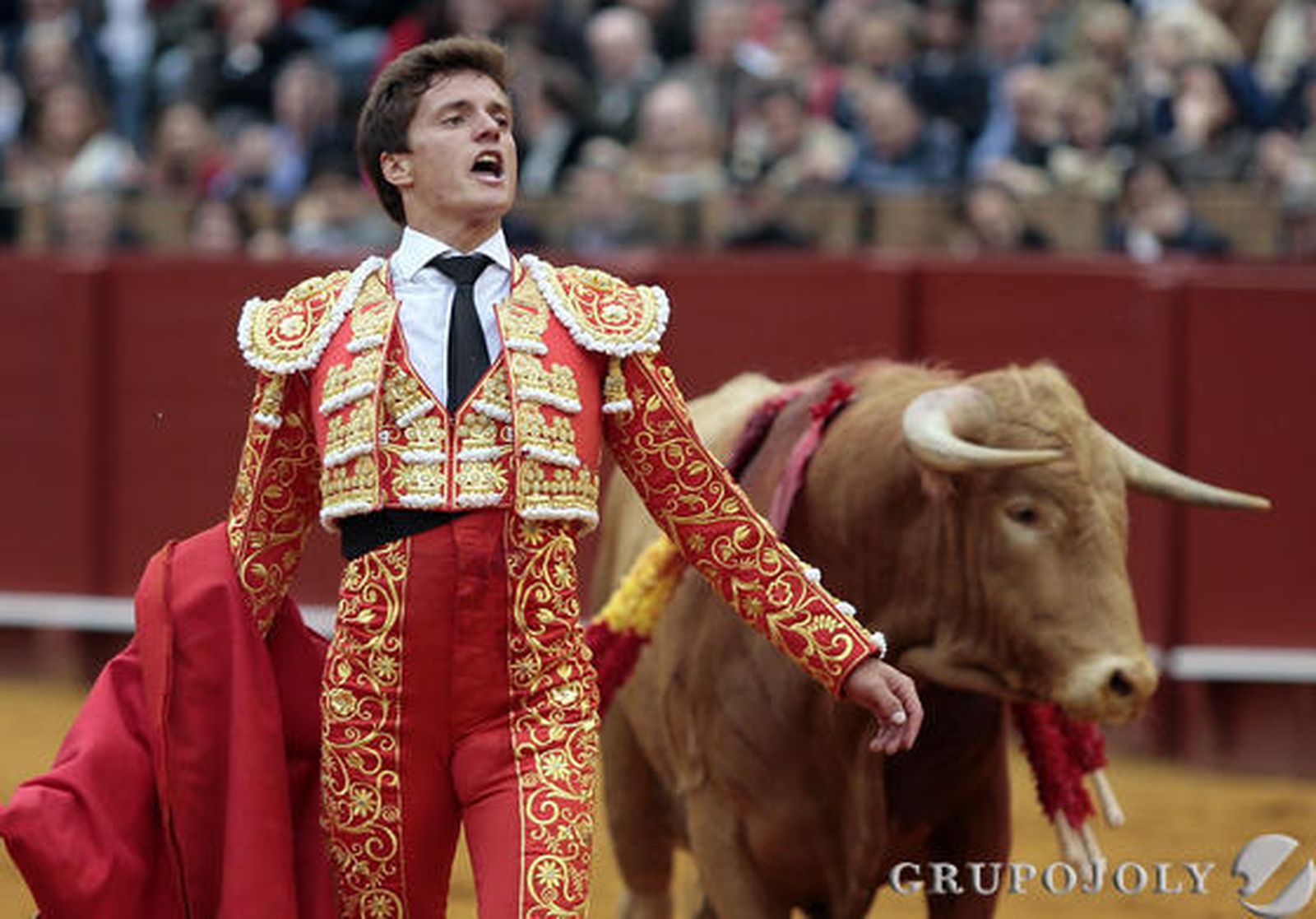 Lama de Góngora.  Foto: Juan Carlos Mu?