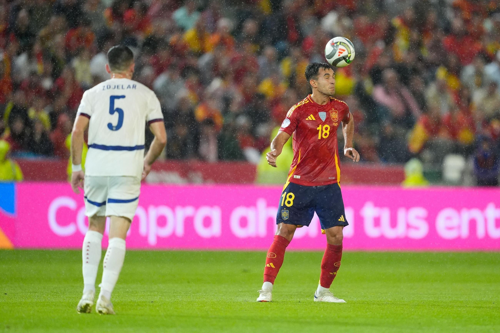 Las fotos del España - Serbia en Córdoba