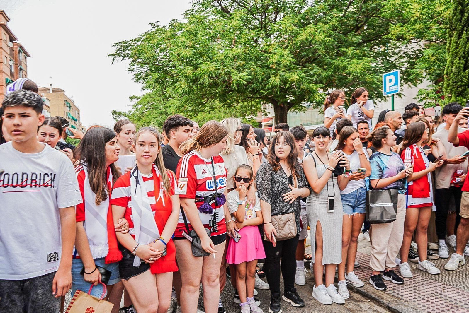 La llegada de Saiko a Los Cármenes, en imágenes