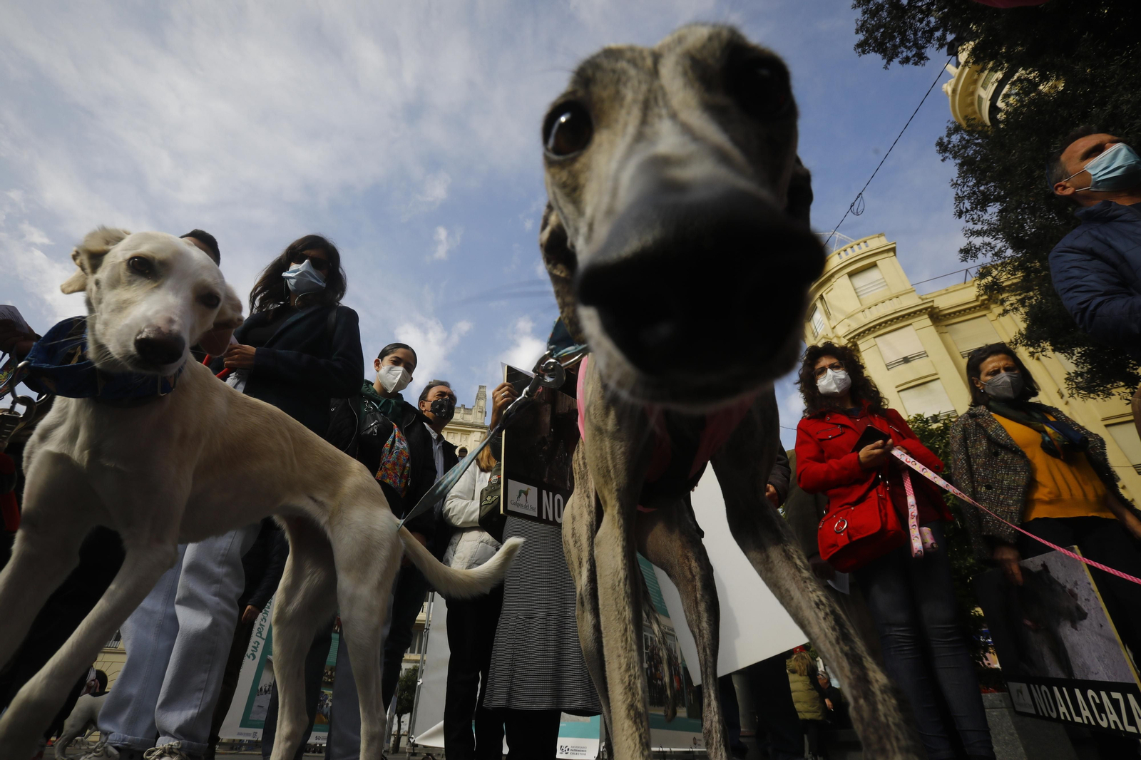 La protesta en Córdoba contra el uso de perros en la caza, en fotografías