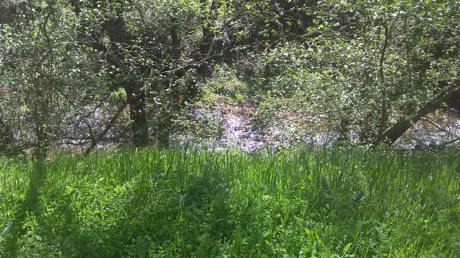 Fotos de la Vía Verde de la Sierra Norte
