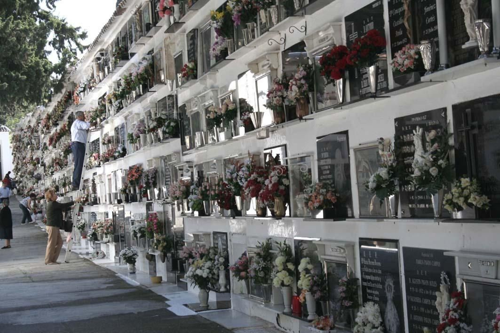 Varias personas en el cementerio de Antequera.