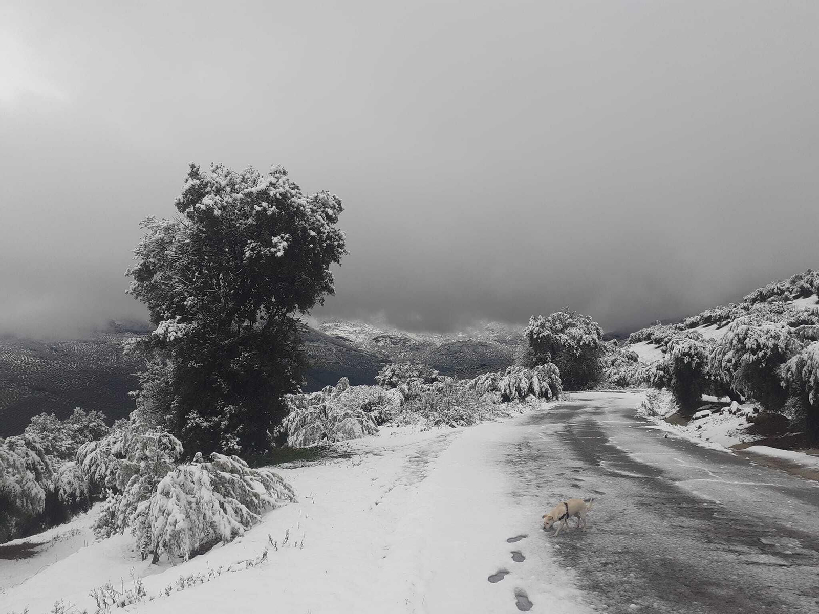 Valdepeñas de Jaén