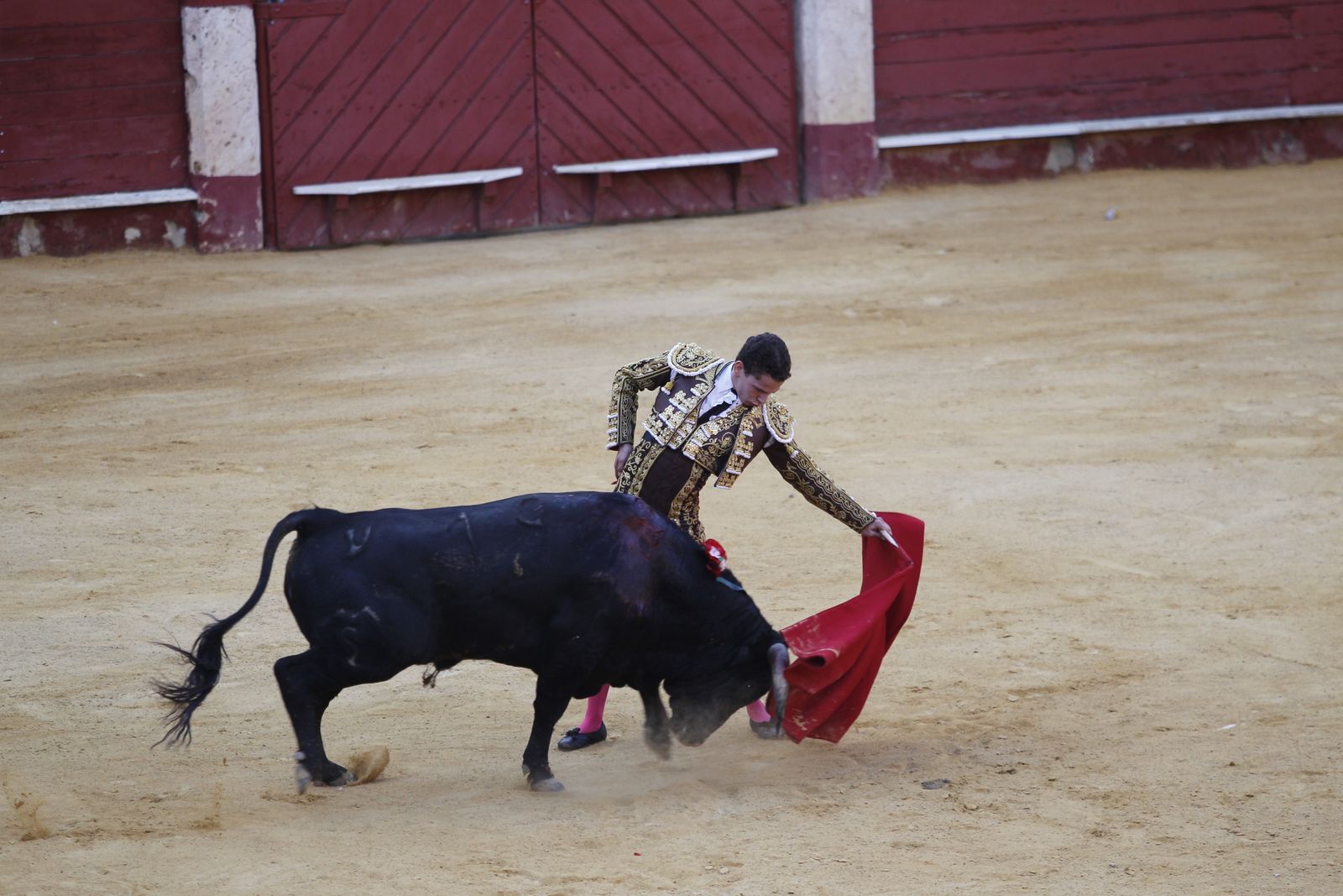 Fotogalería novillada Escuela Taurina de Almería. Feria de Almería 2019