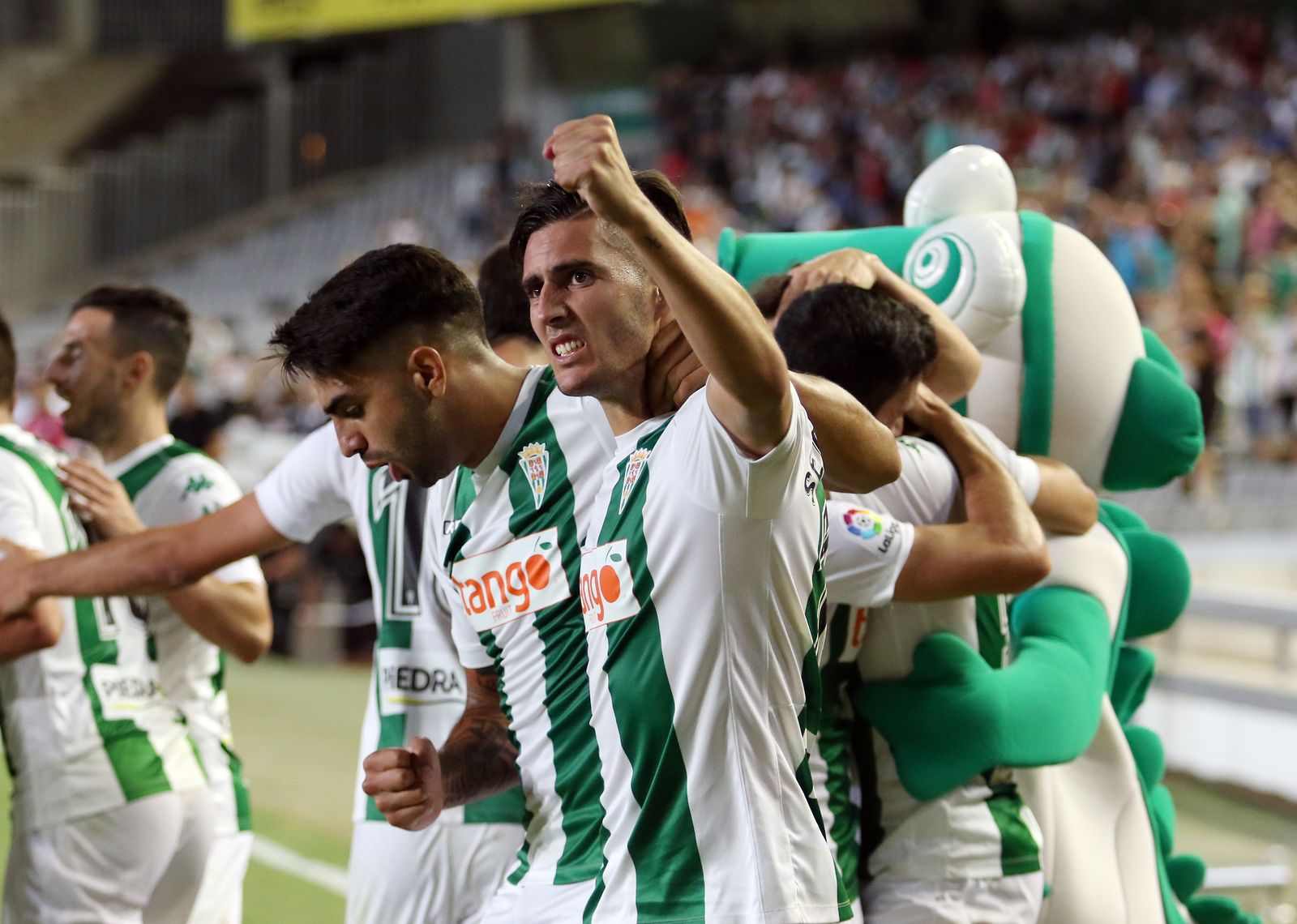 Las imágenes del Córdoba-Tenerife