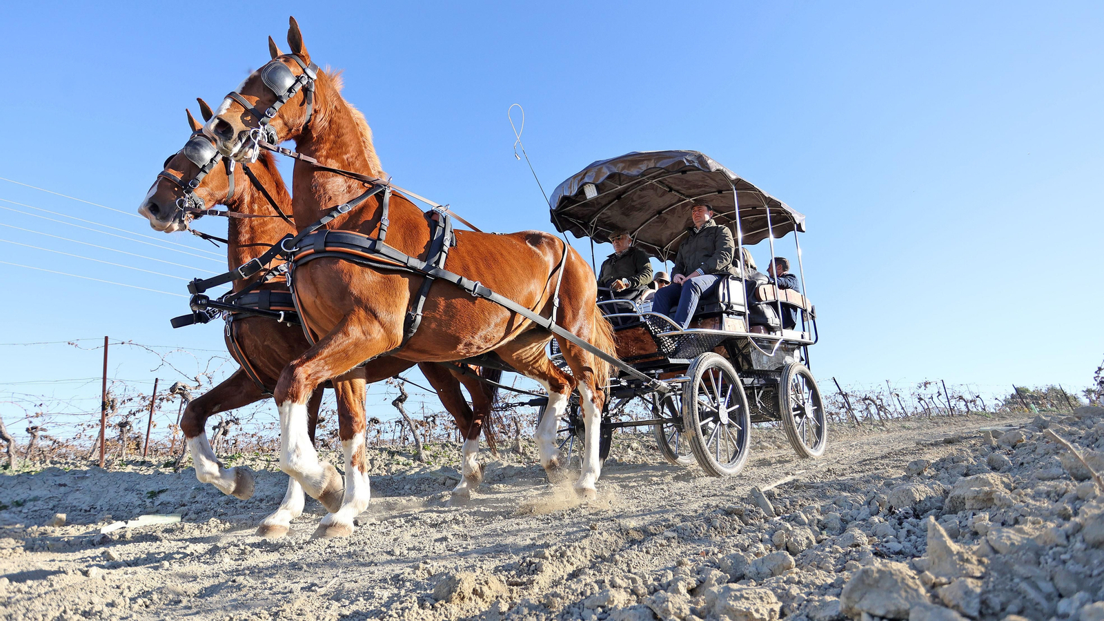 II Ruta Viñas de Jerez