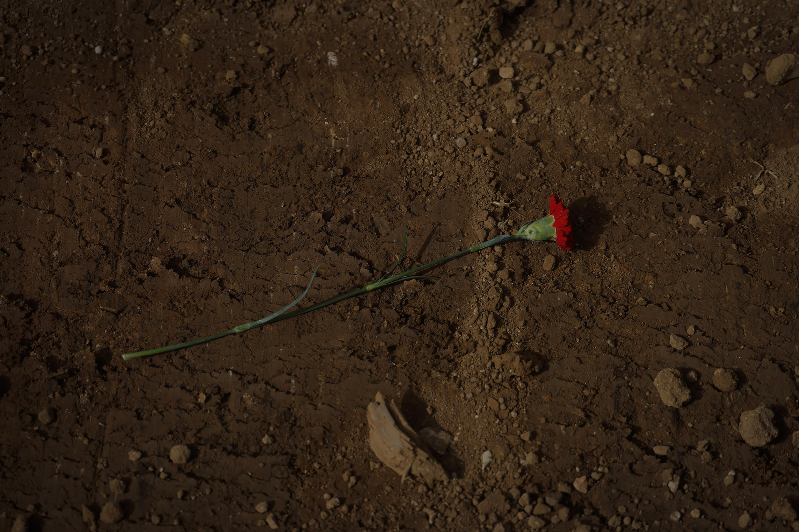 Cerrada la fosa común Pico Reja, todas las imágenes