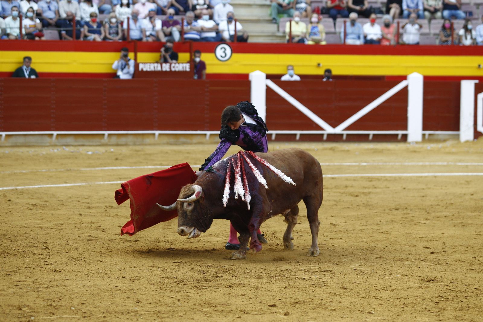 Fotogalería corrida de toros. Cayetano Rivera, Paco Ureña y Roca Rey. Roquetas de Mar.