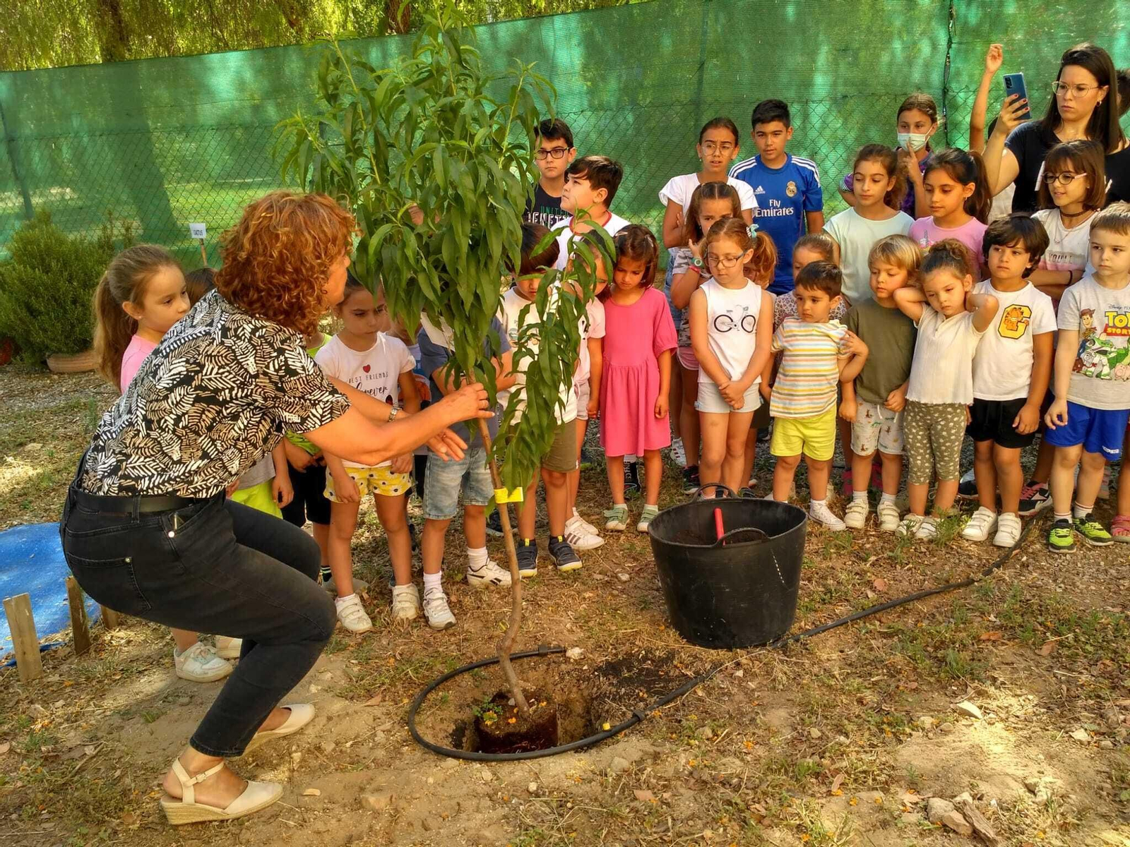 El CEIP Montealegre celebra el Día Mundial del Medio Ambiente