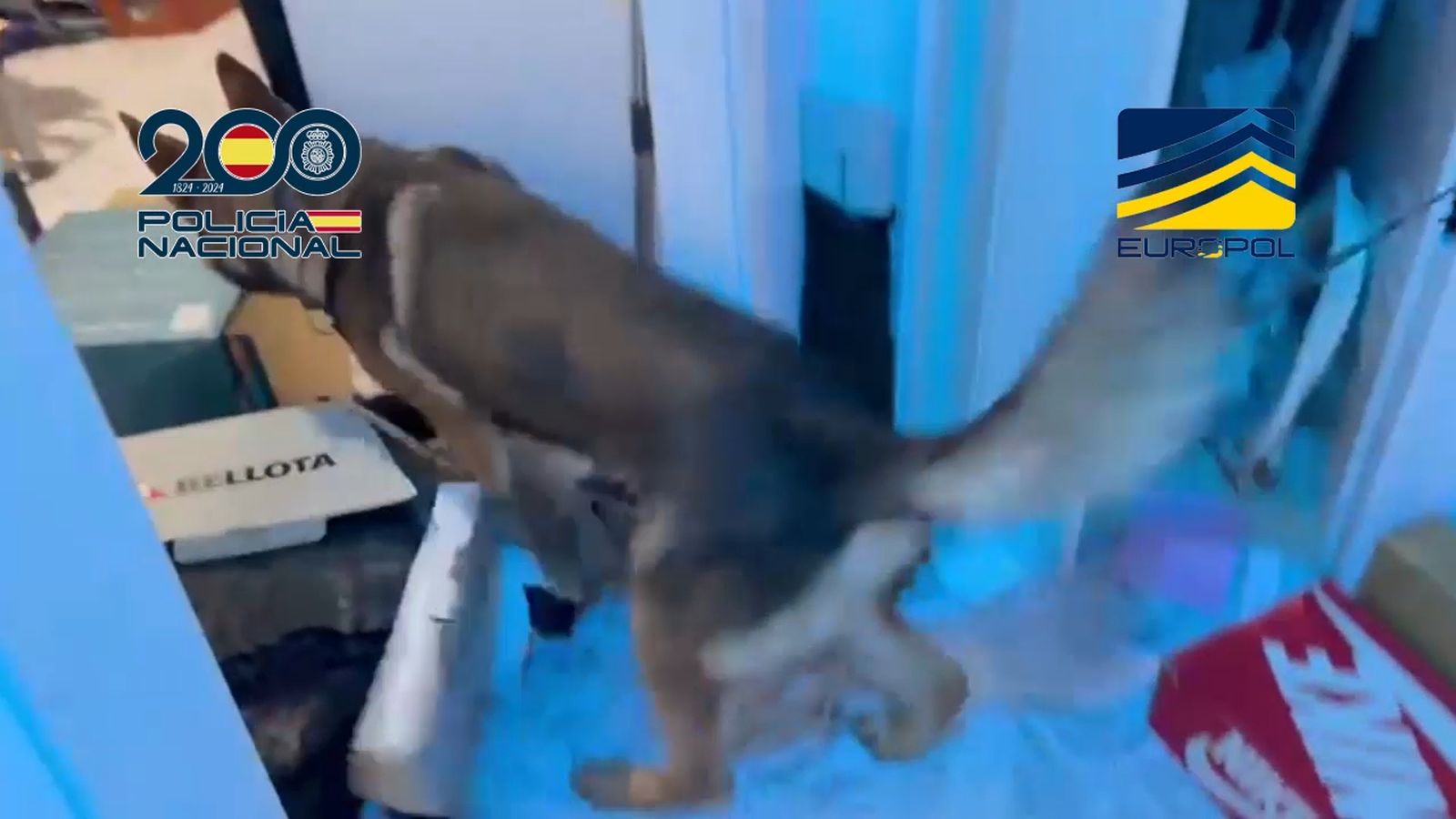 Cae una red de ciberfraude asentada en Málaga que defraudó casi 6 millones de euros en 15 años: hay 34 detenidos