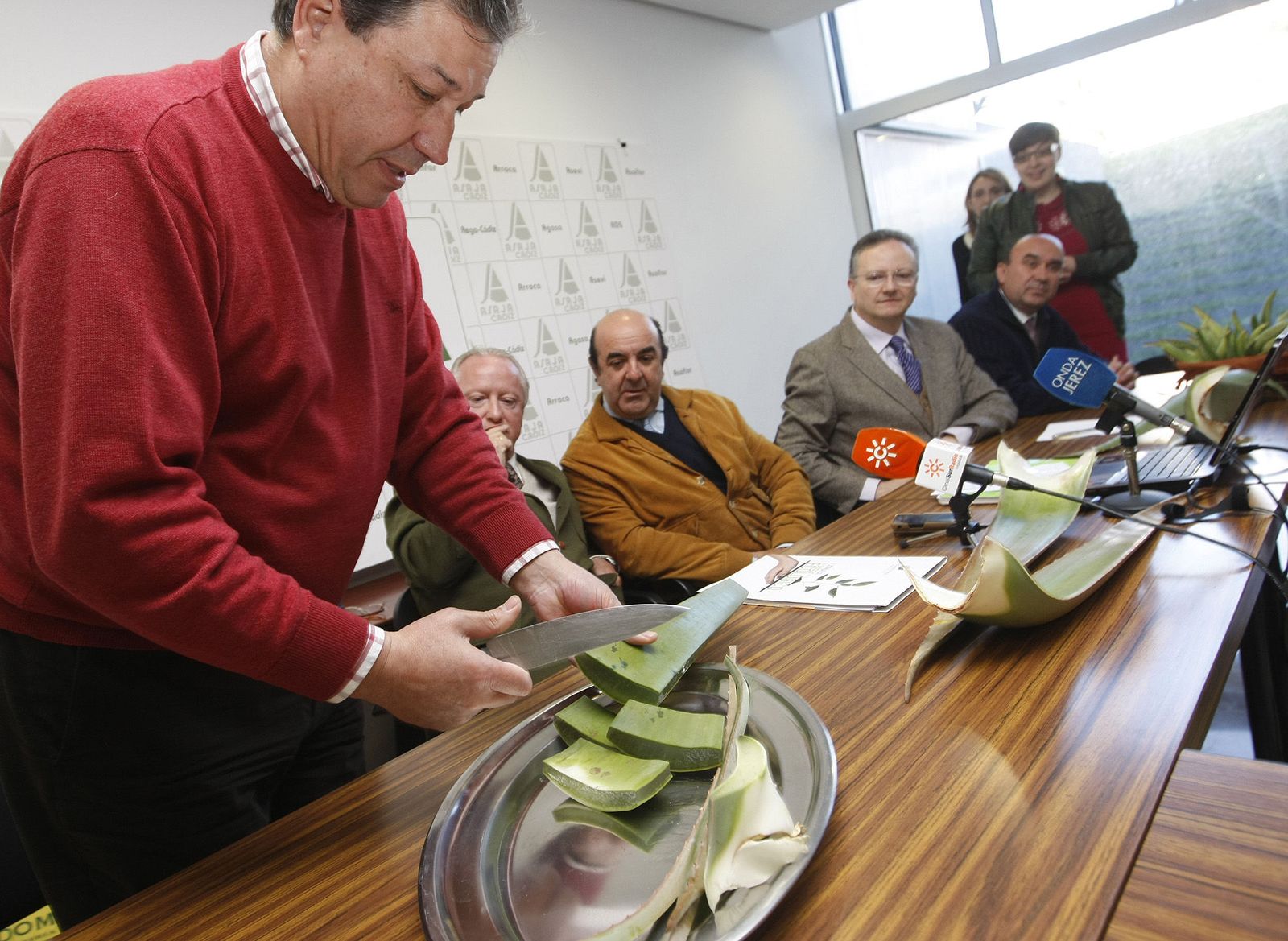 El aloe vera andaluz quiere tener su propia denominación de origen