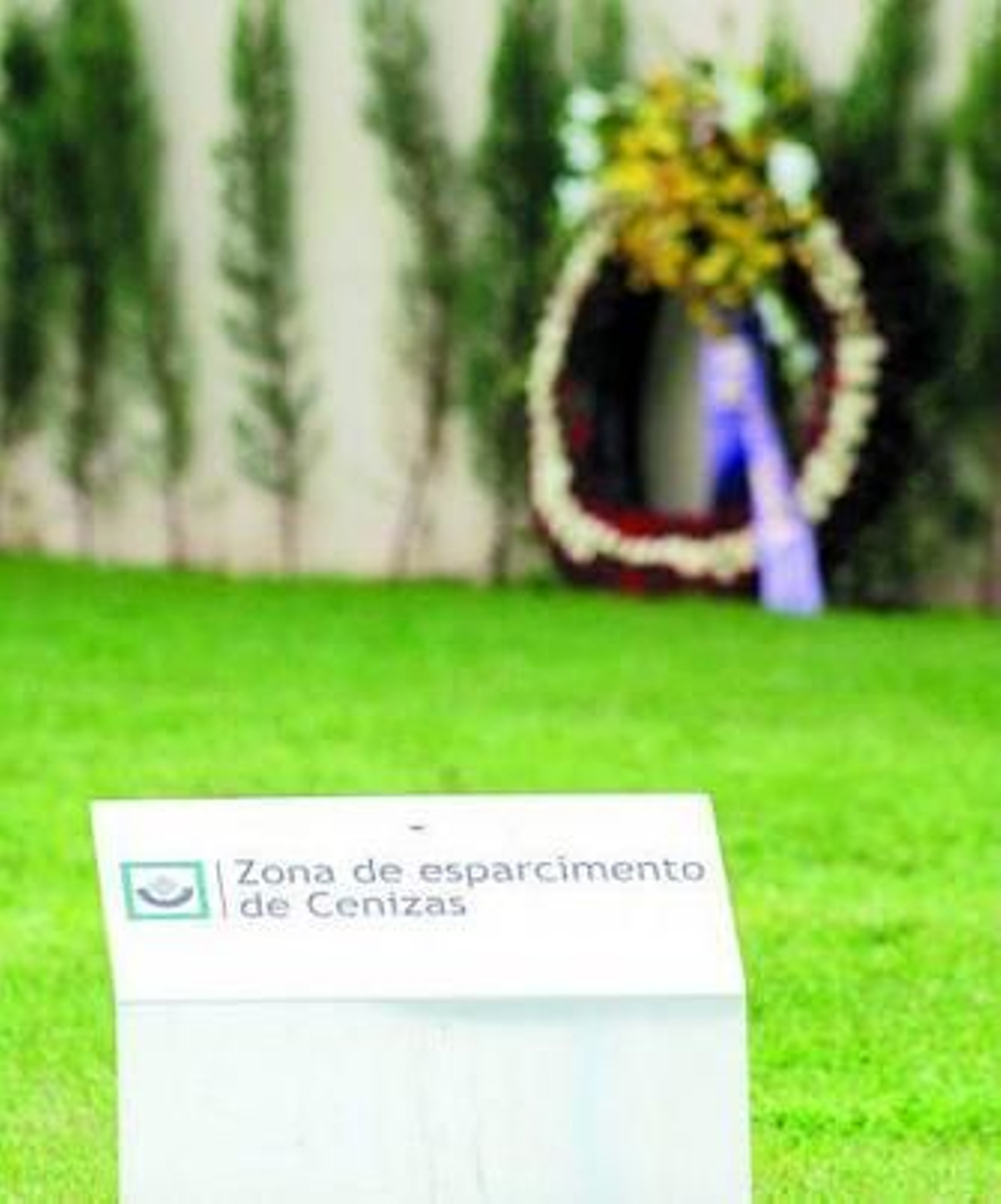 Zona actual para esparcir cenizas en la Fuensanta.