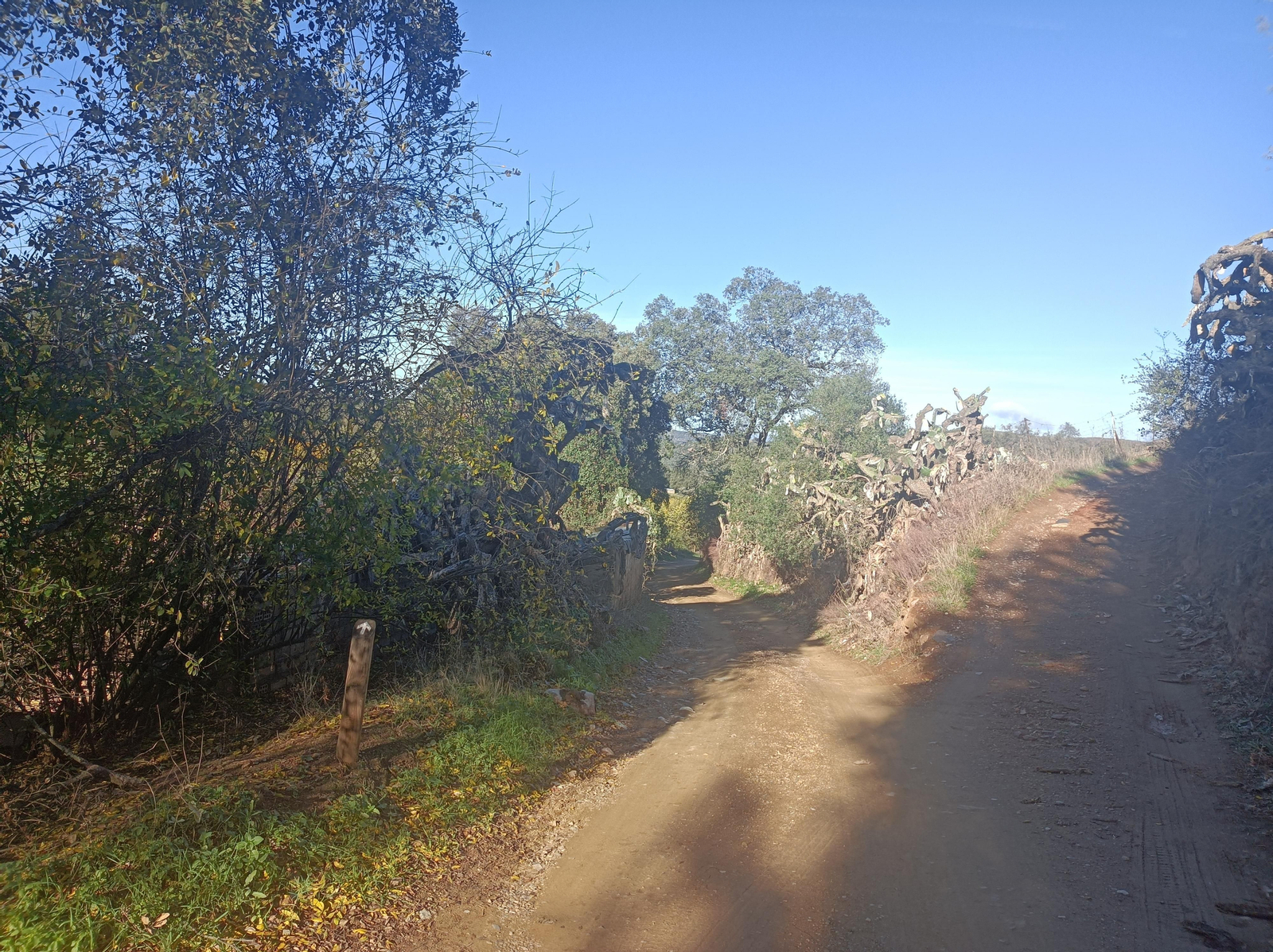 Fotos de la ruta de los molinos de Almadén de la Plata