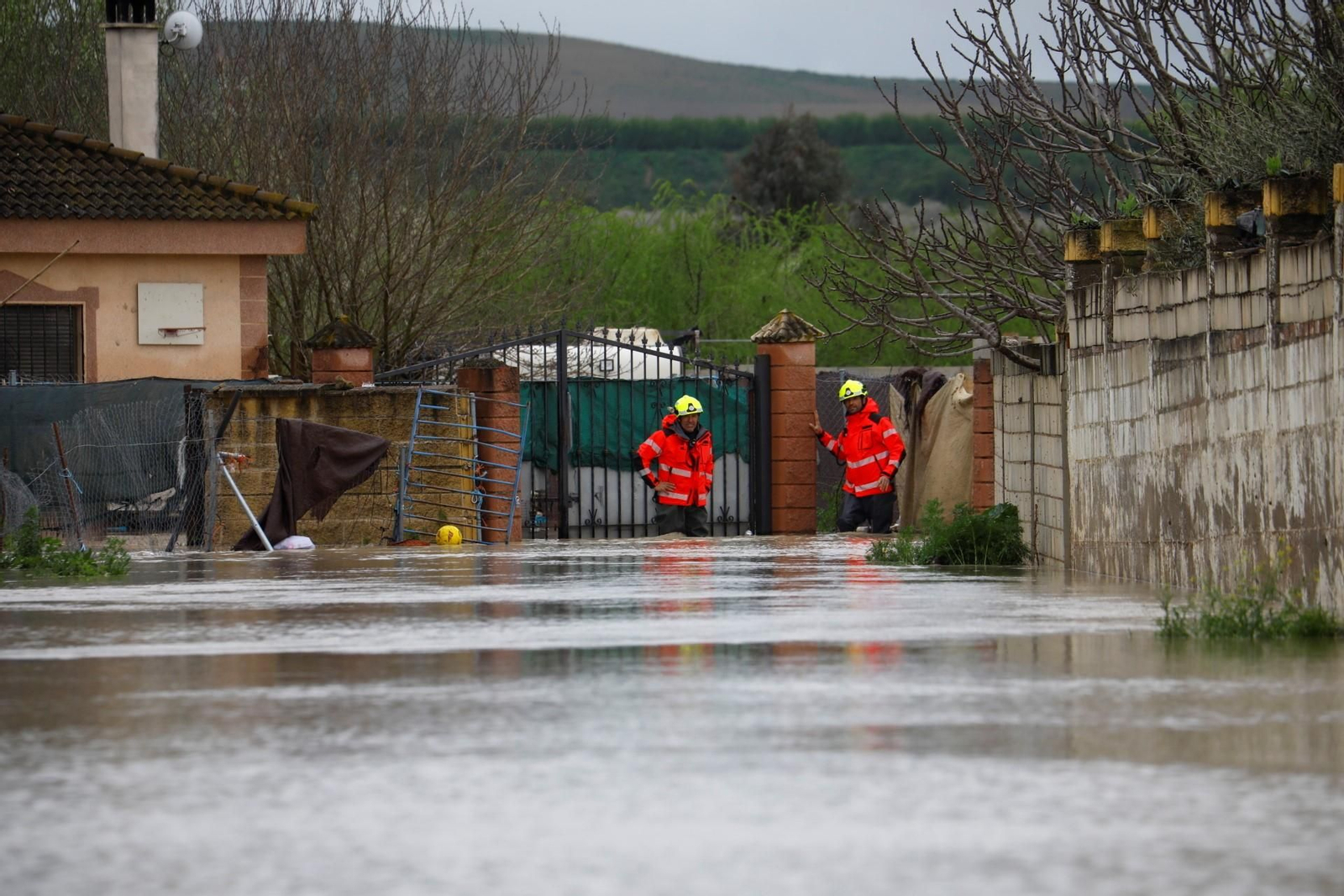Las imágenes de las parcelaciones inundadas por la crecida del río Guadalquivir