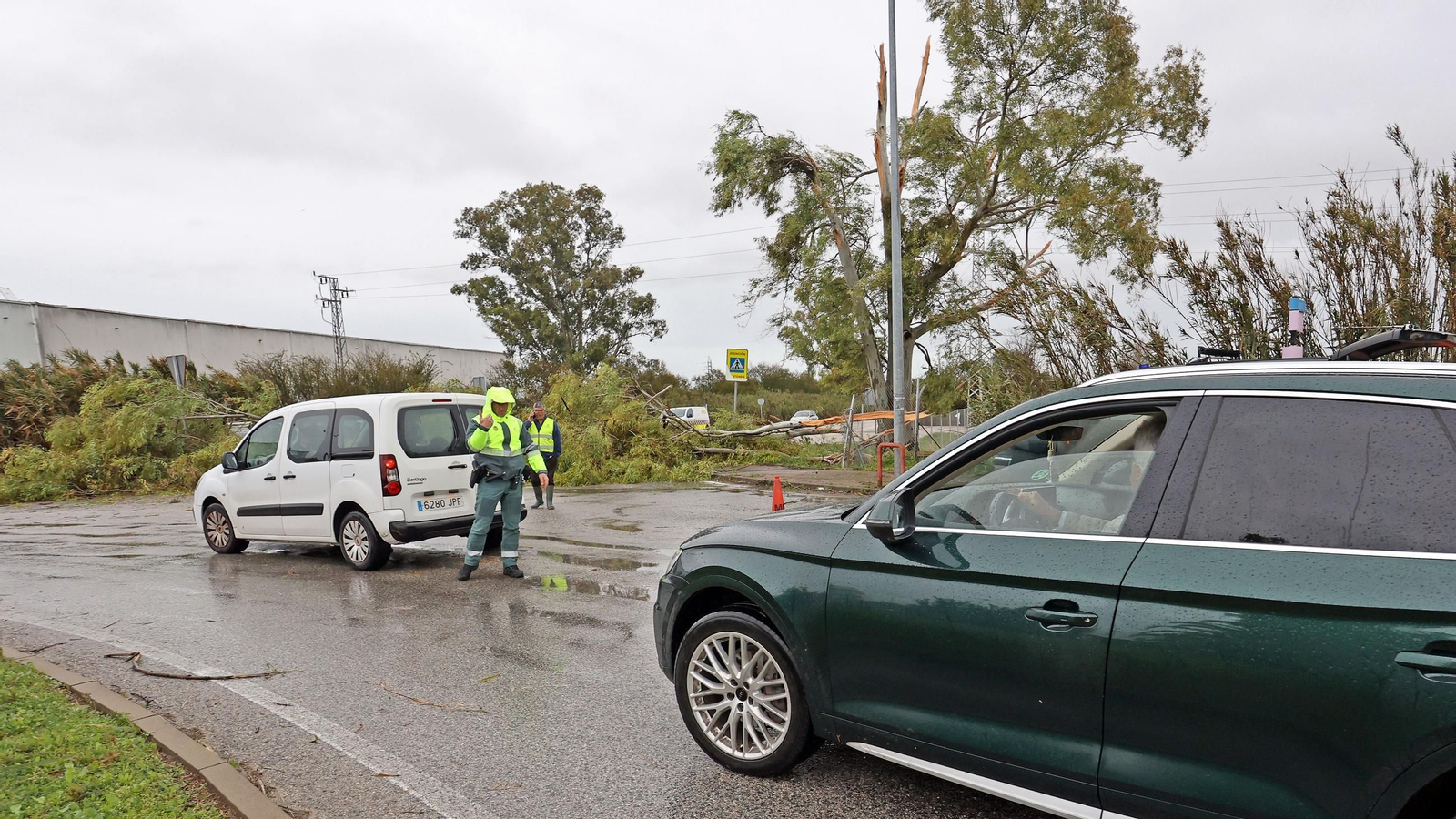 Imágenes del temporal de viento y lluvia en Jerez