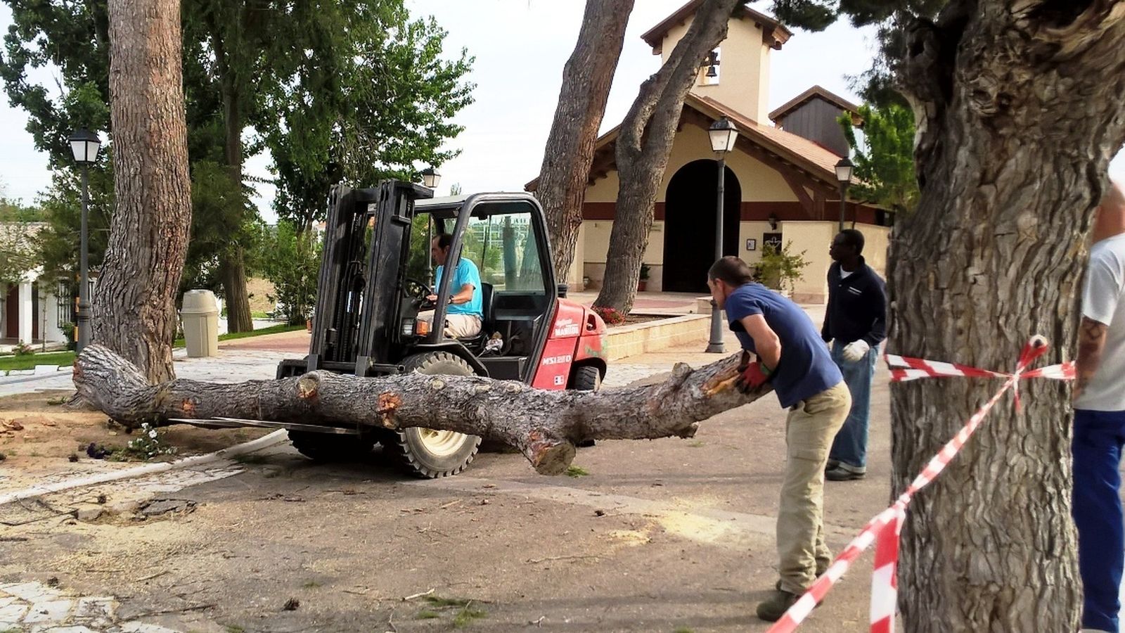 Trabajo de inserción laboral de Basida.