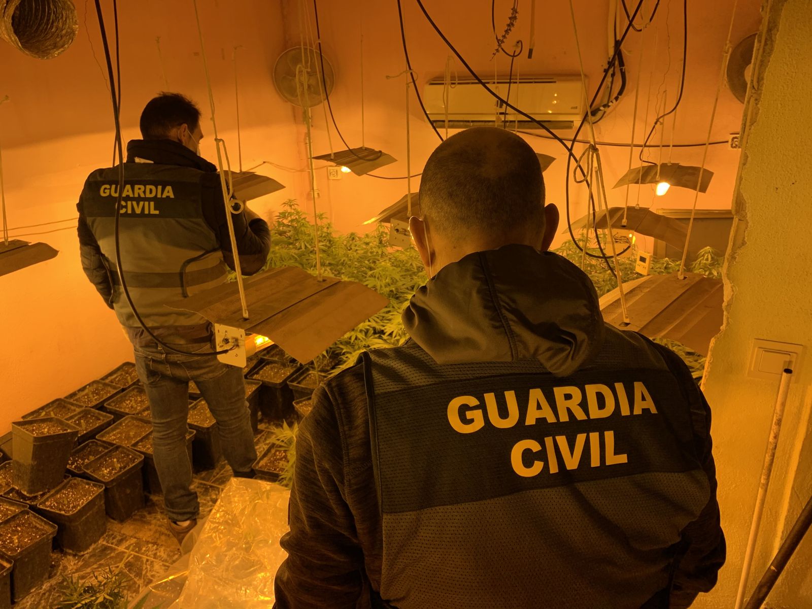 Agentes de la Guardia Civil en un centro de producción de marihuana